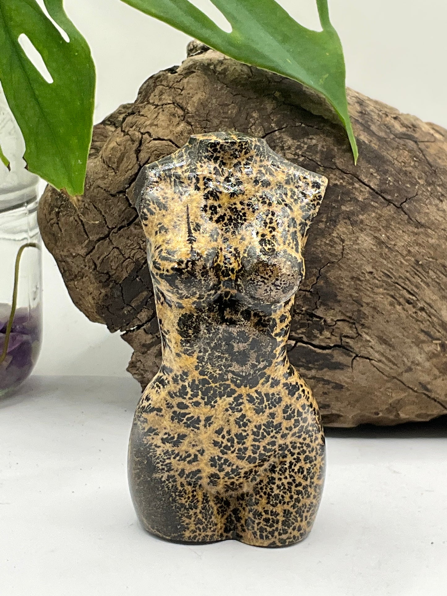 Picture Jasper Female Body