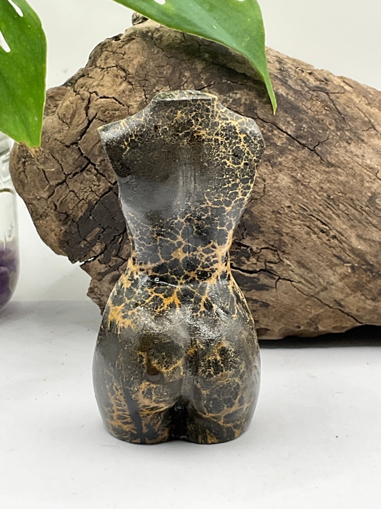 Picture Jasper Female Body