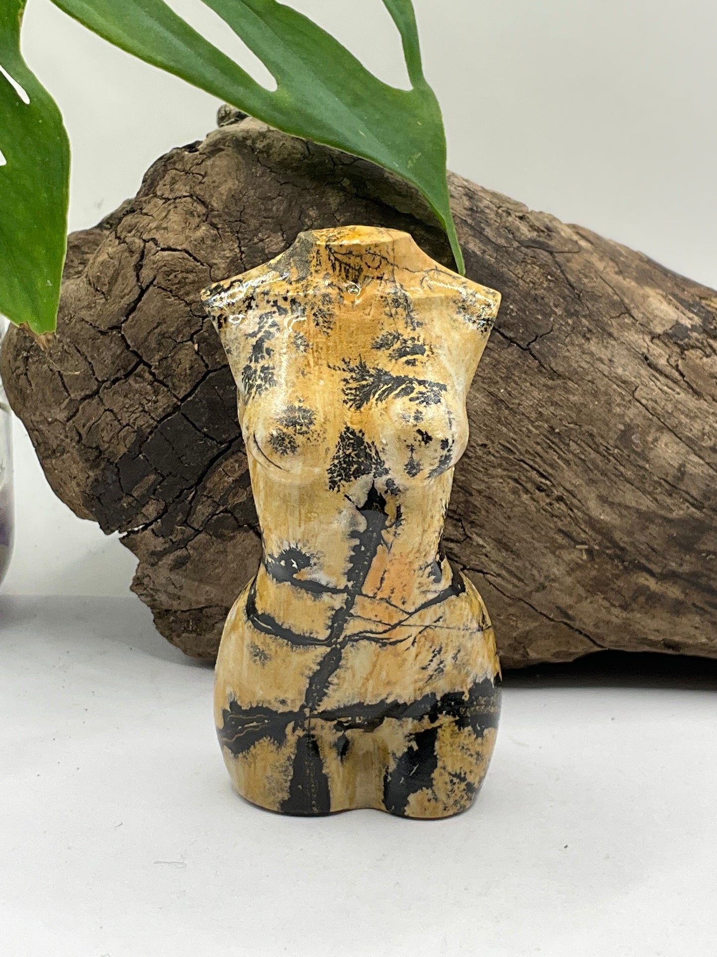 Picture Jasper Female Body