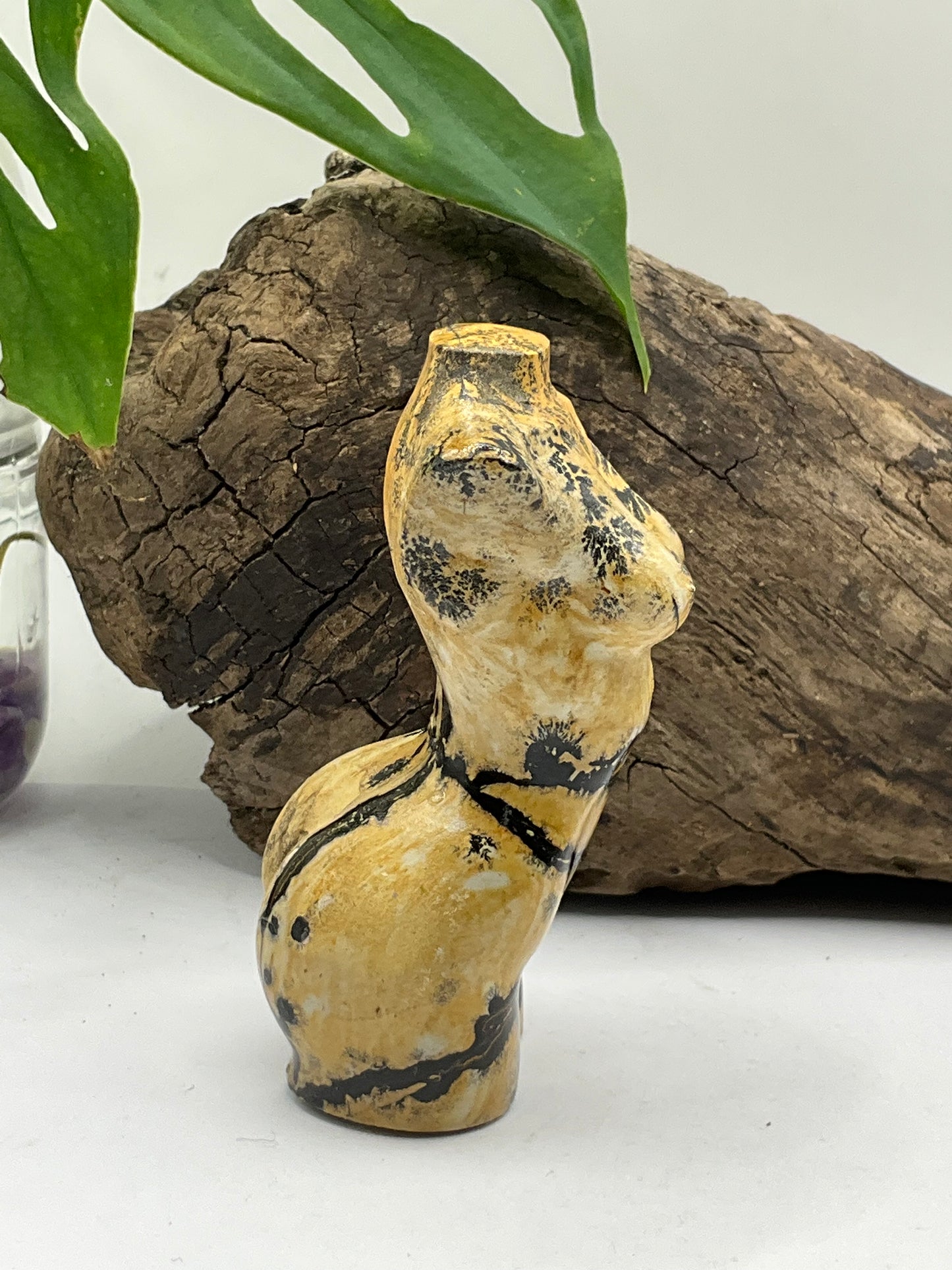 Picture Jasper Female Body