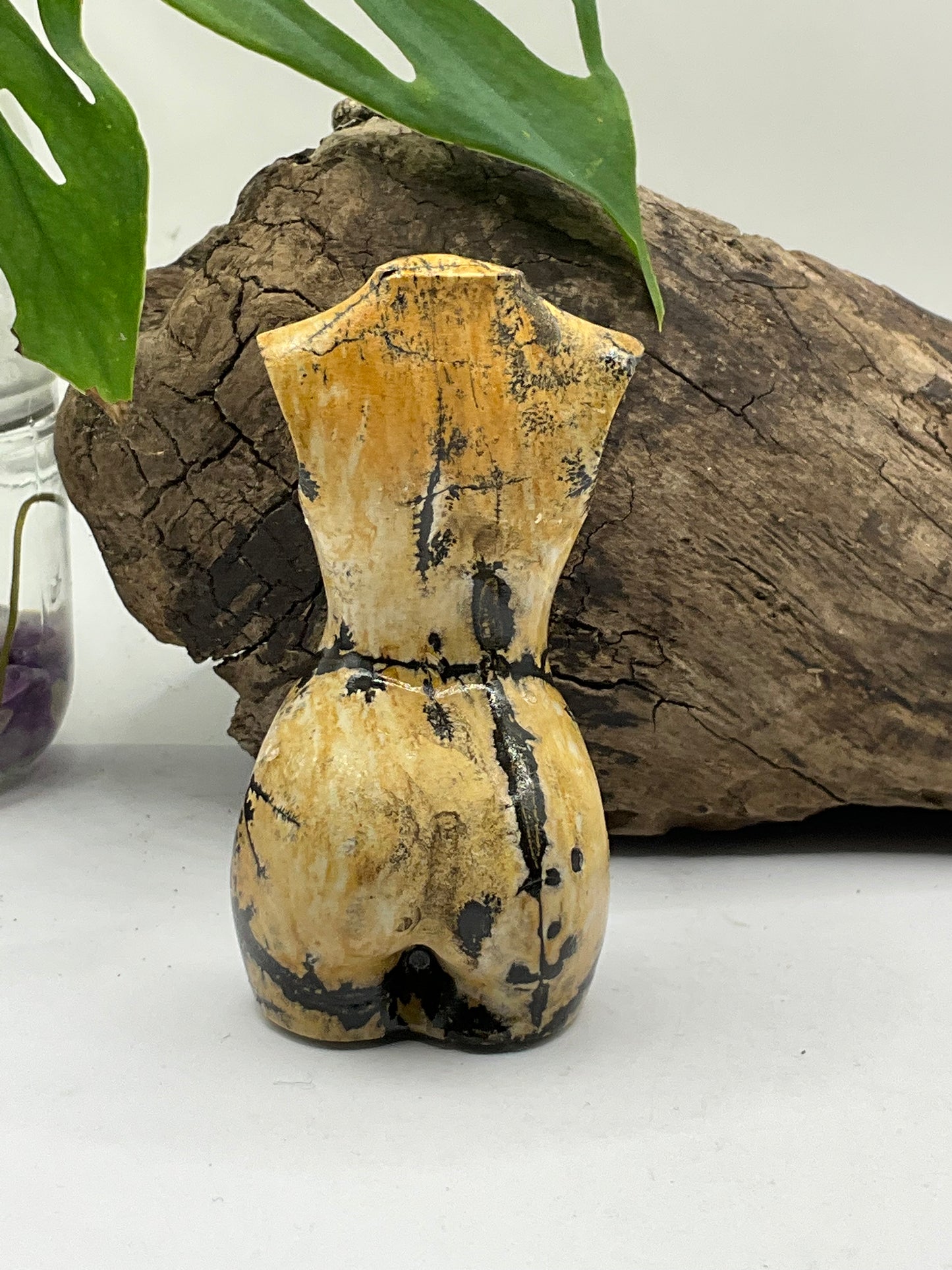 Picture Jasper Female Body