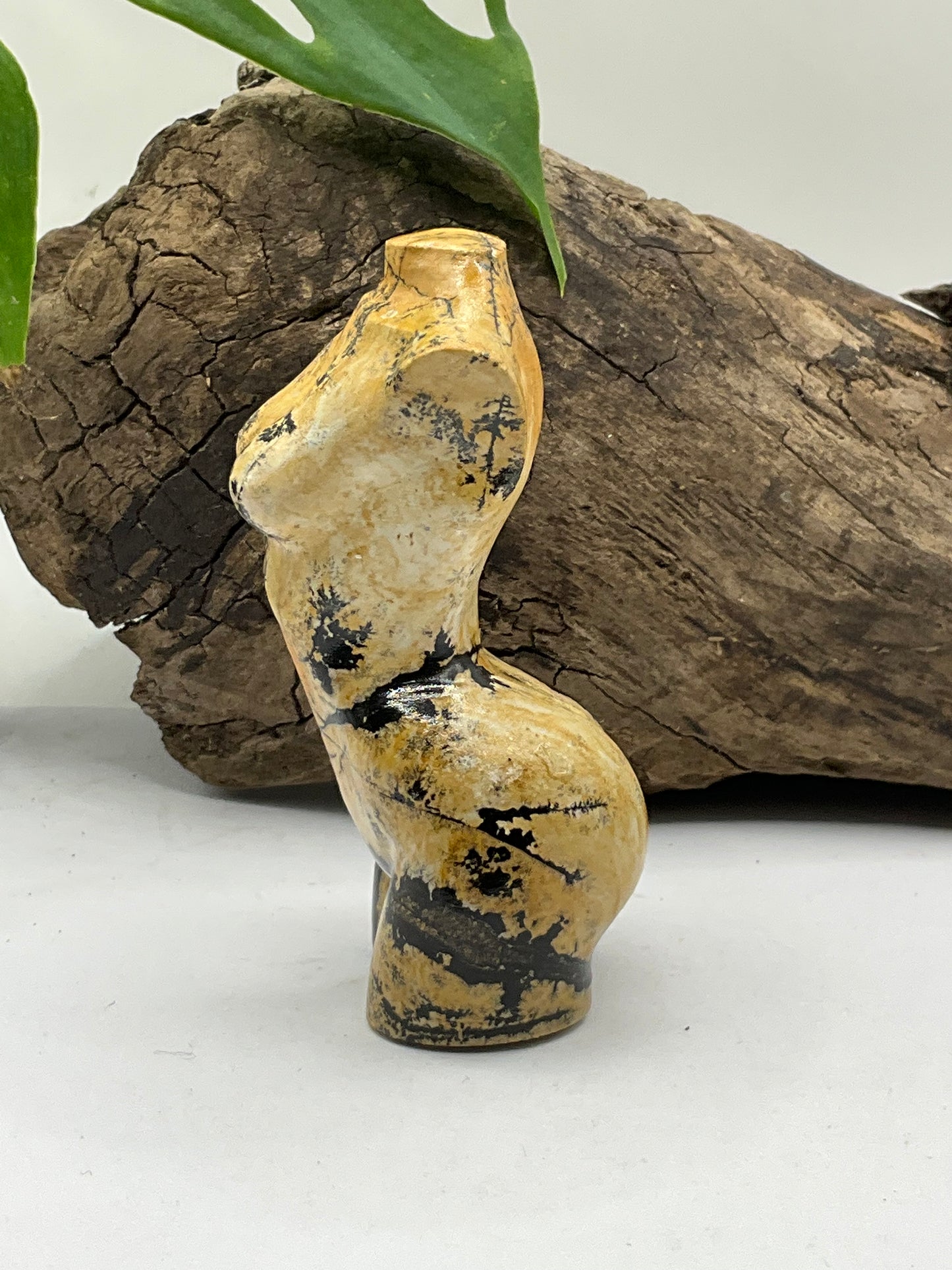 Picture Jasper Female Body