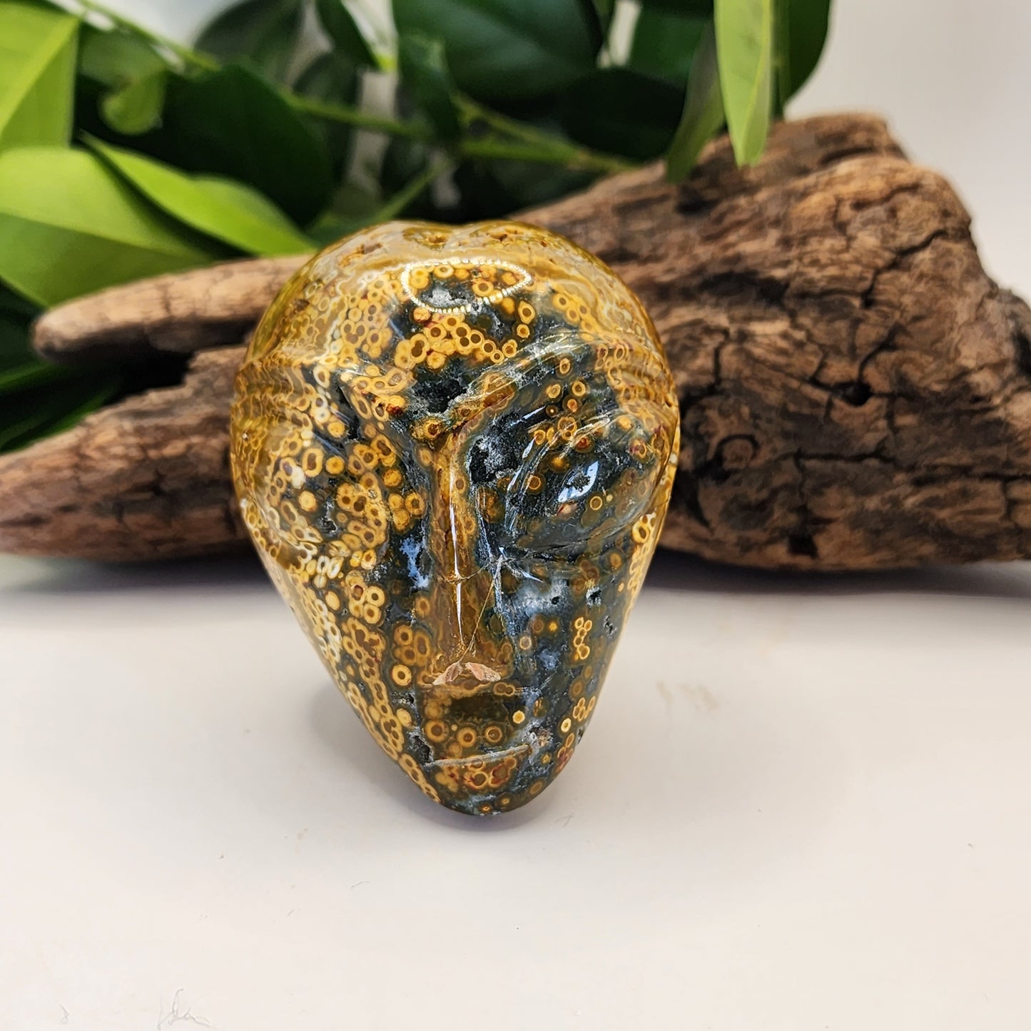 Ocean Jasper Alien A