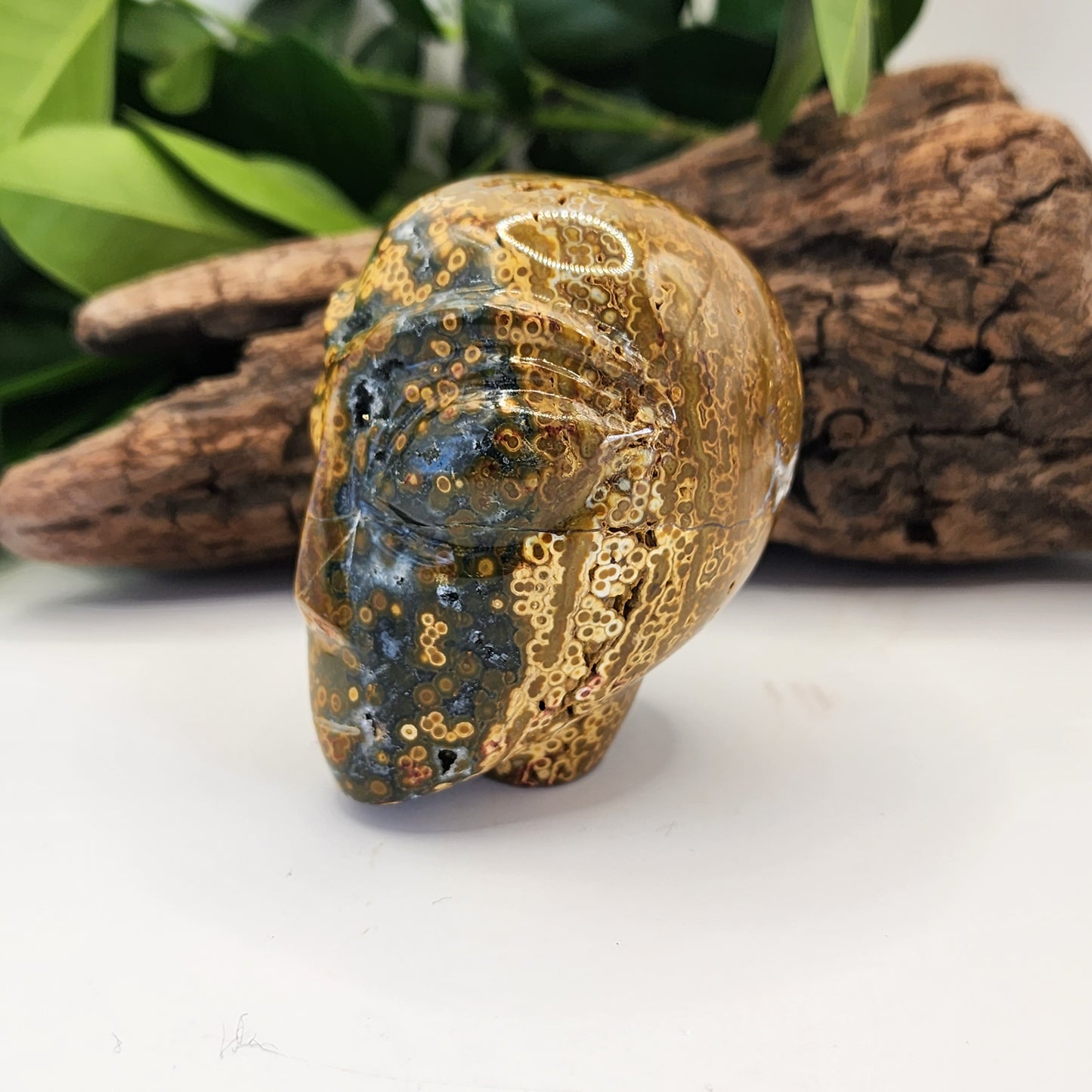 Ocean Jasper Alien A