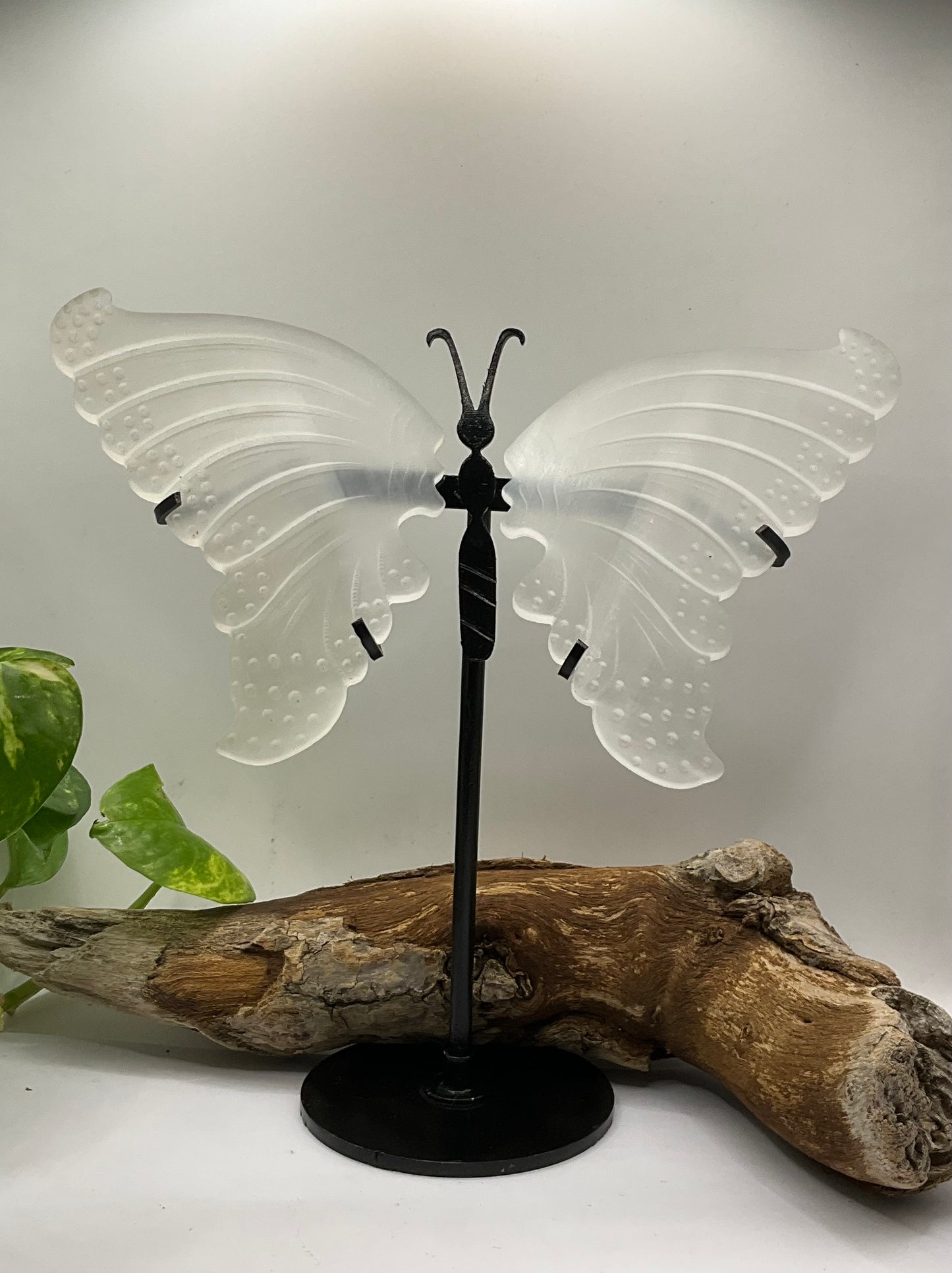 Selenite Butterfly Wings