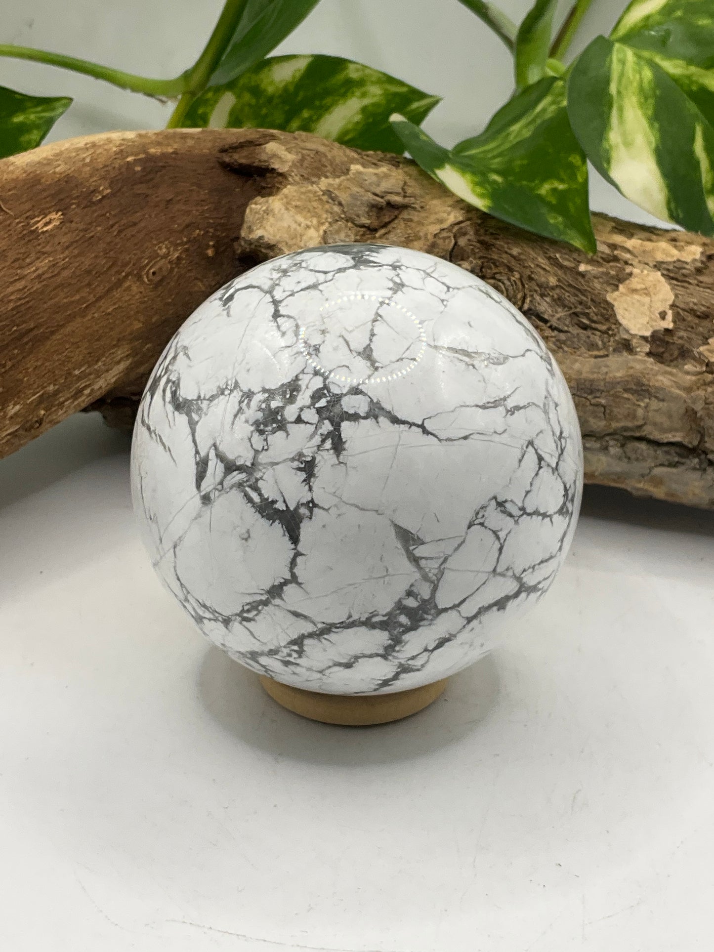 Howlite Sphere 01