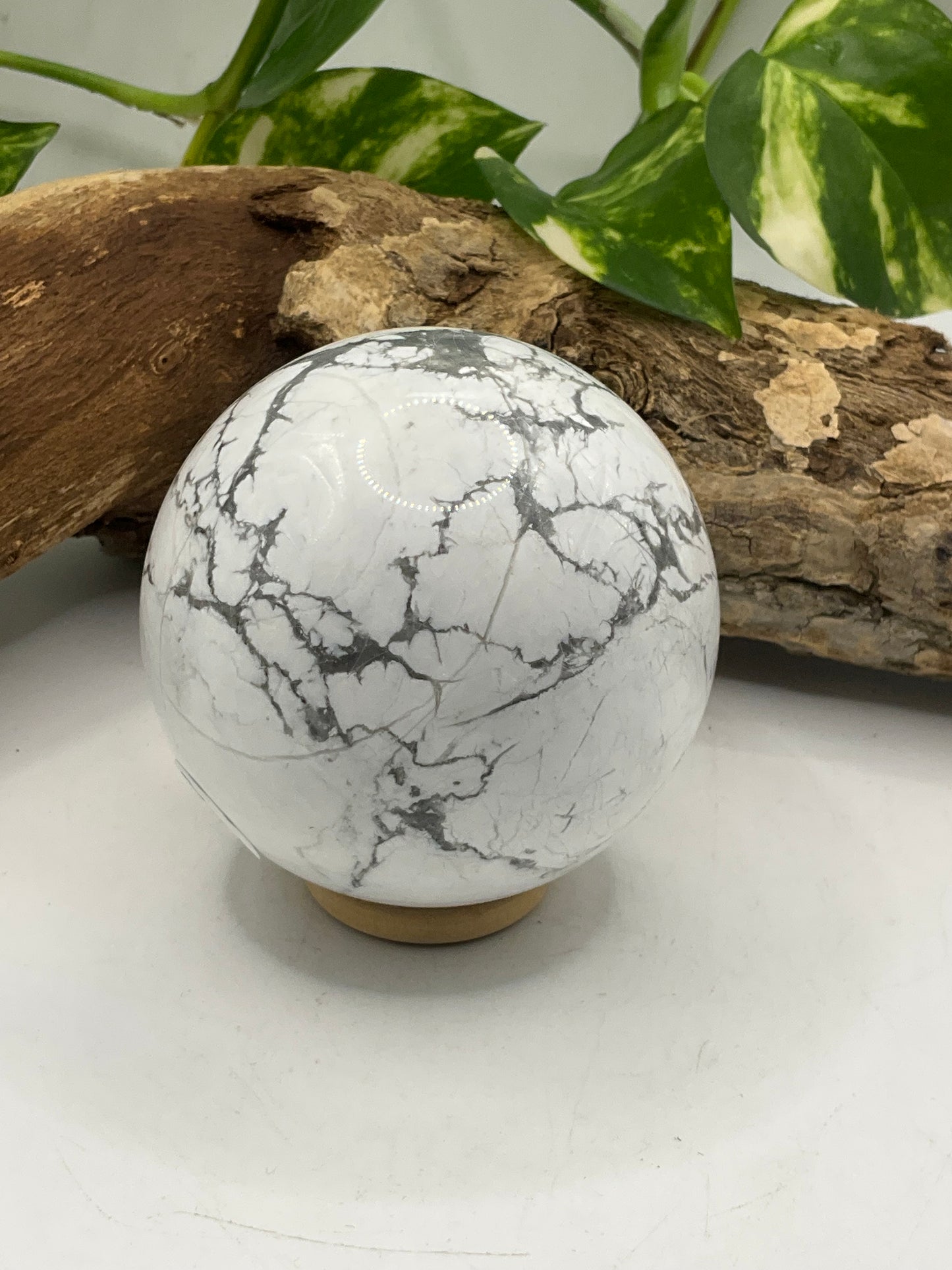 Howlite Sphere 01