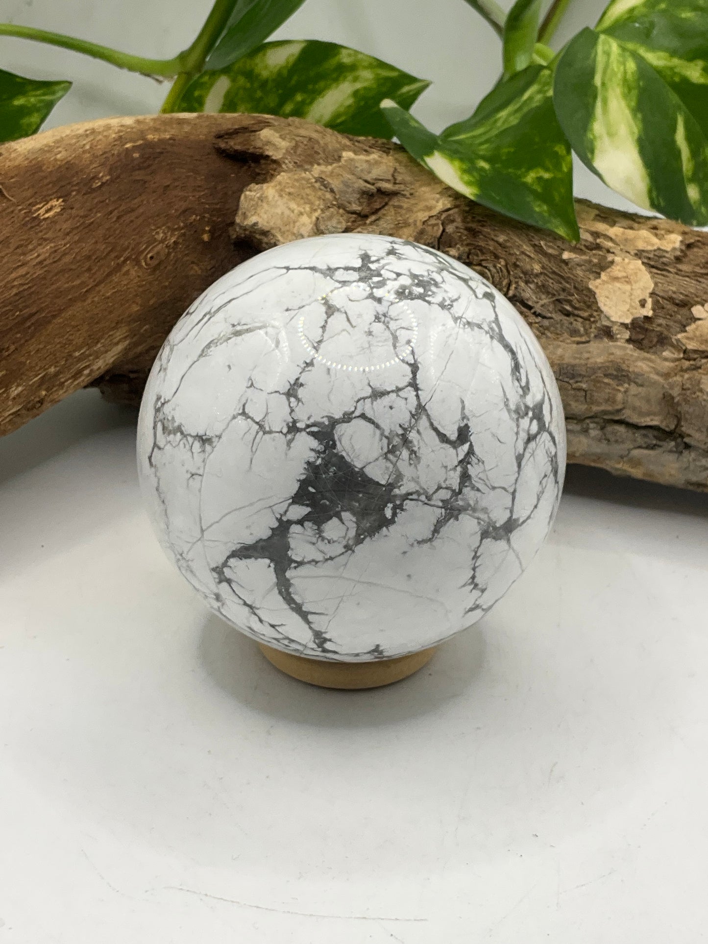 Howlite Sphere 01