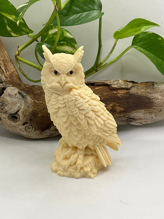 Nut Ivory Owl