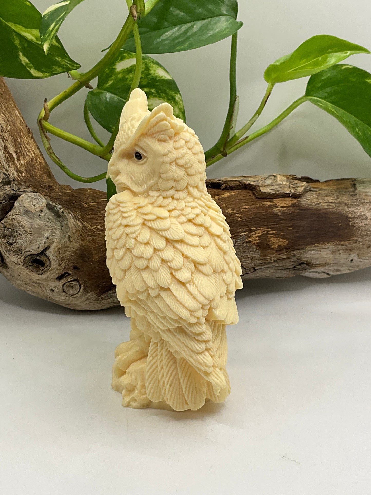 Nut Ivory Owl