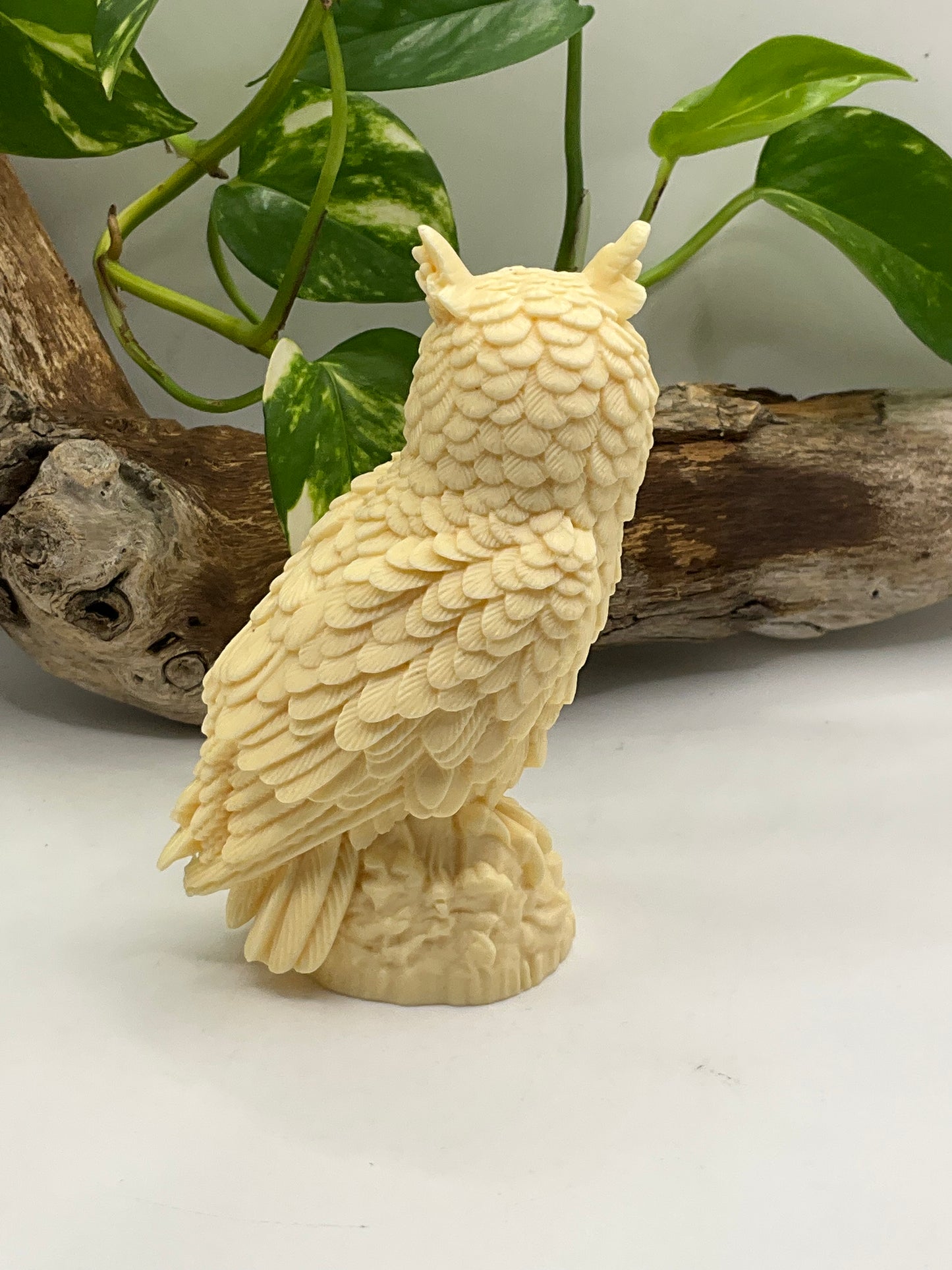 Nut Ivory Owl