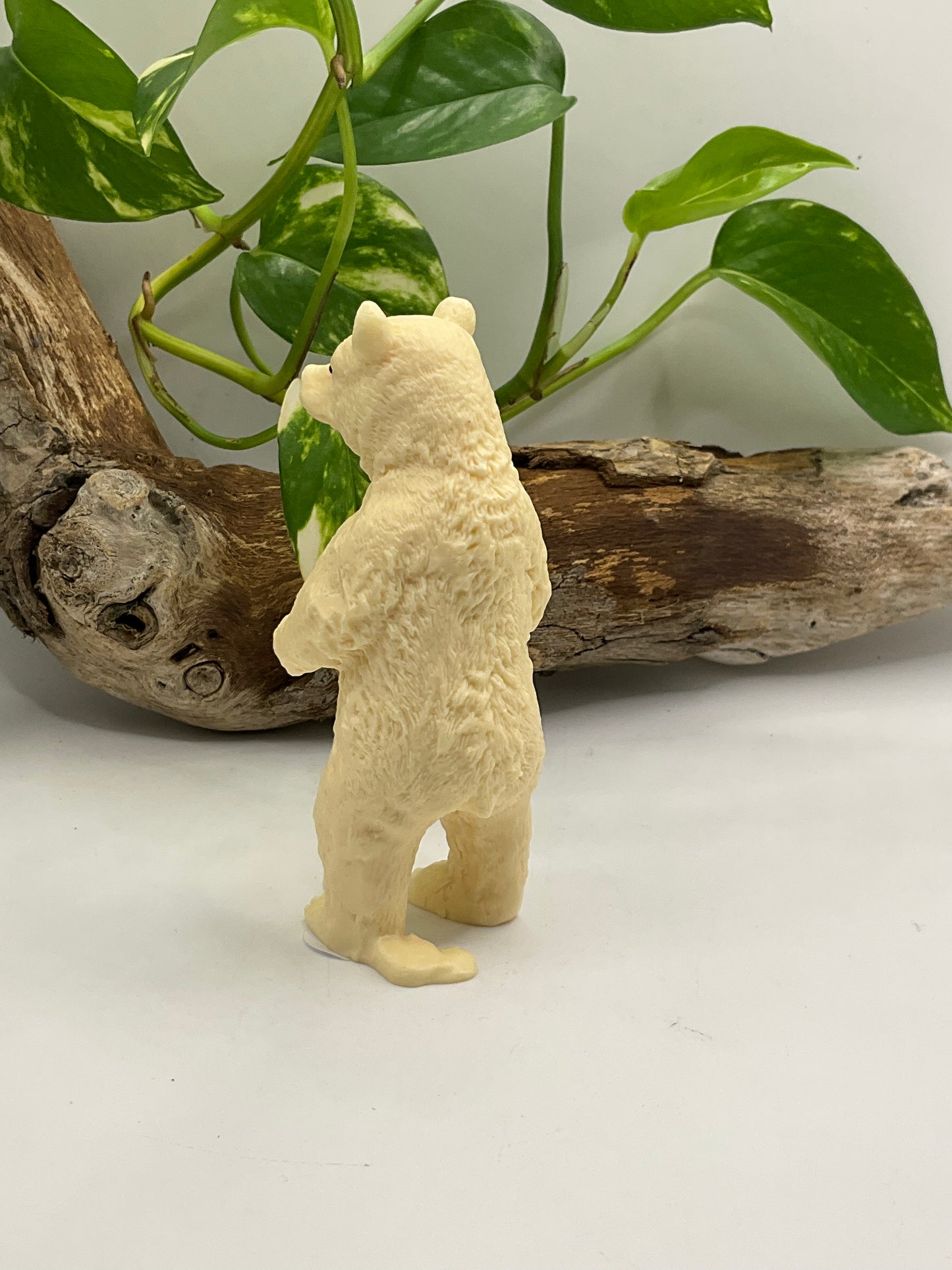 Nut Ivory Bear