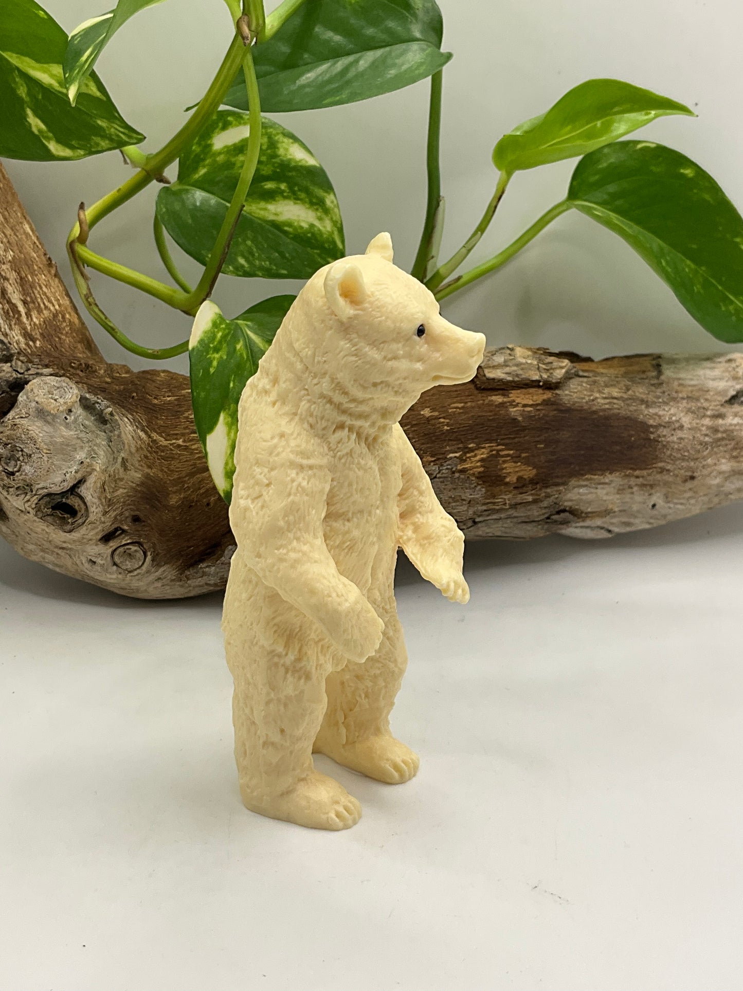 Nut Ivory Bear