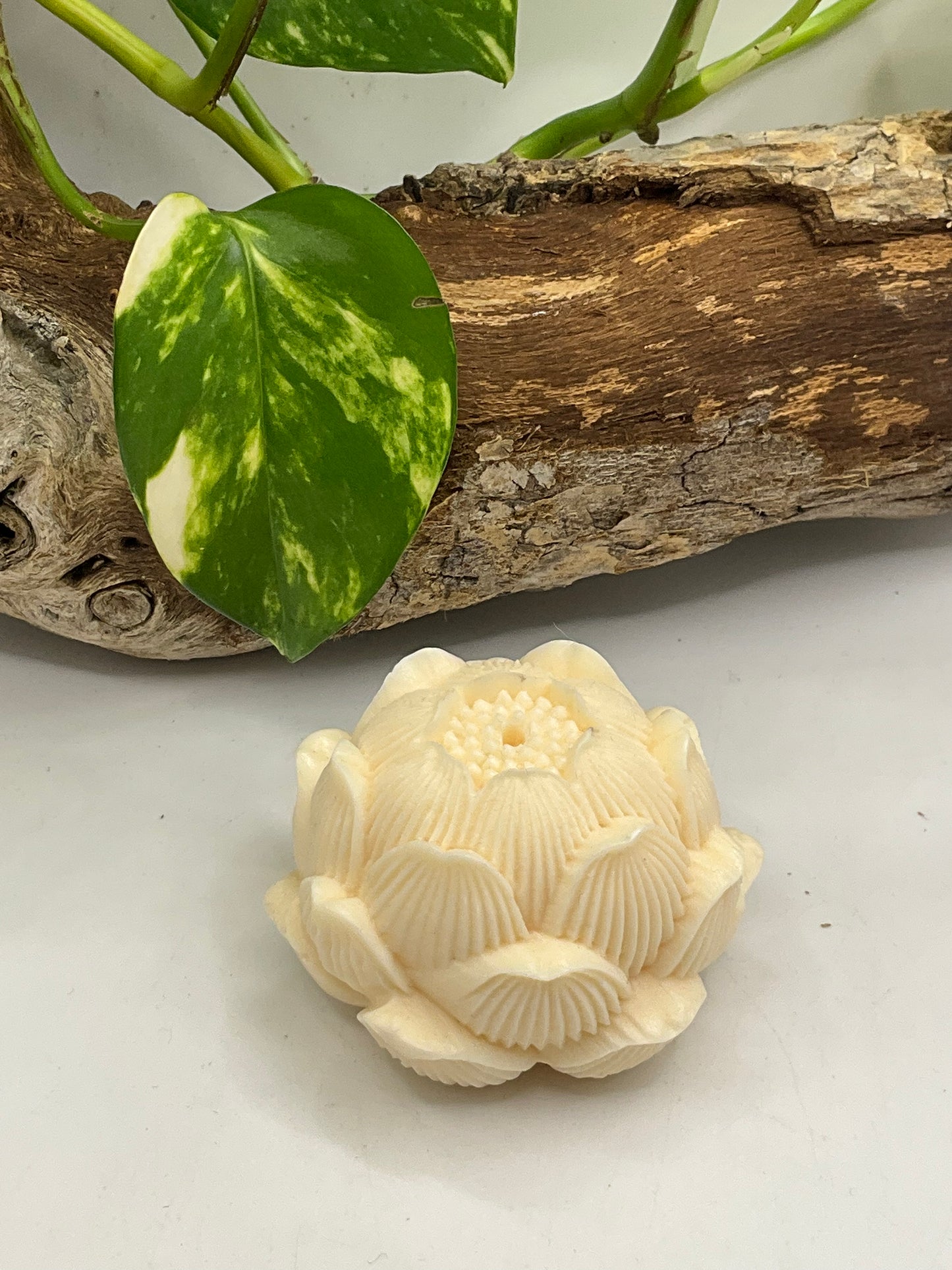 Nut Ivory Lotus Incense Holder