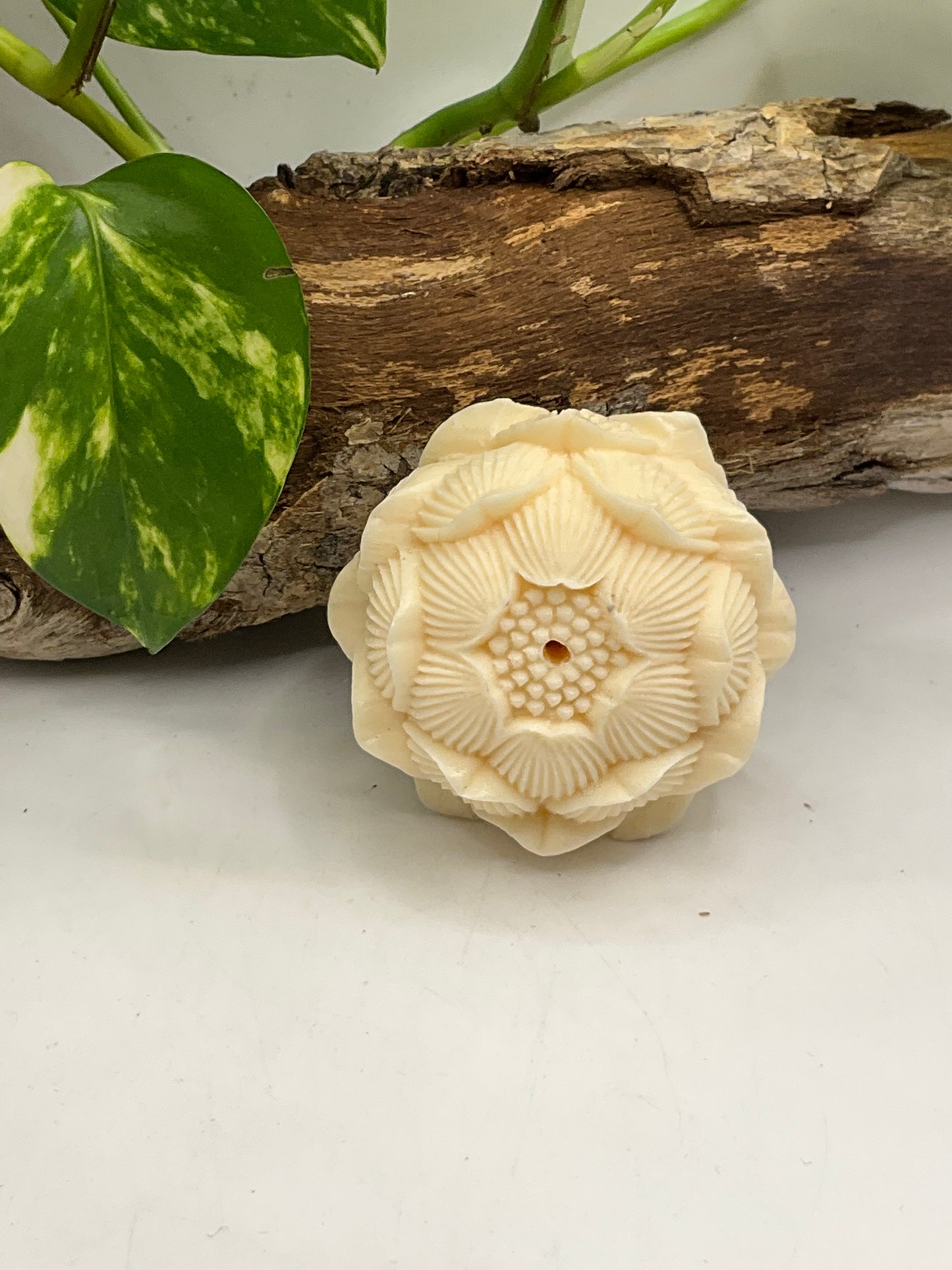 Nut Ivory Lotus Incense Holder