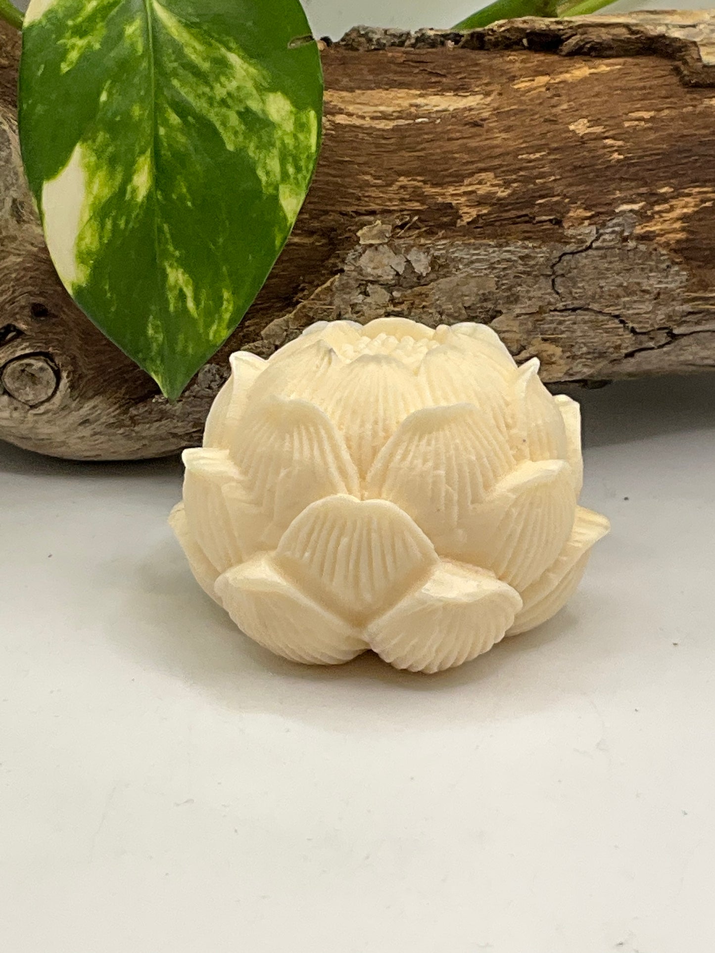 Nut Ivory Lotus Incense Holder