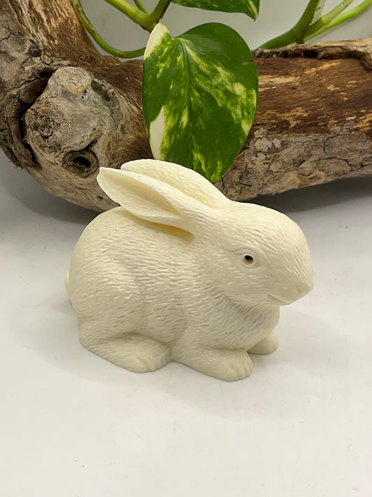 Nut Ivory Rabbit