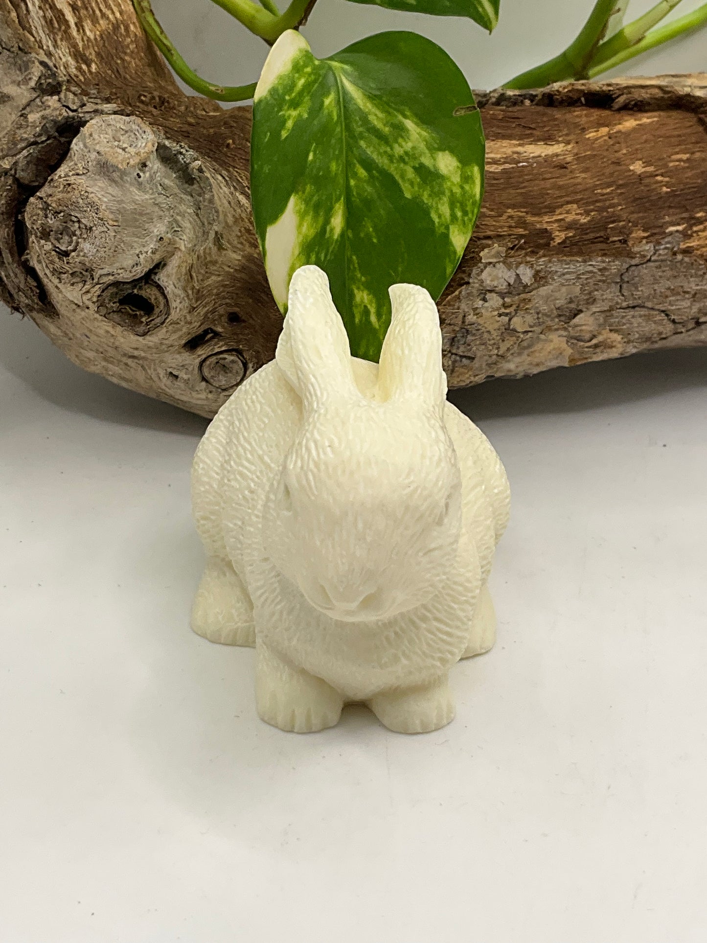 Nut Ivory Rabbit