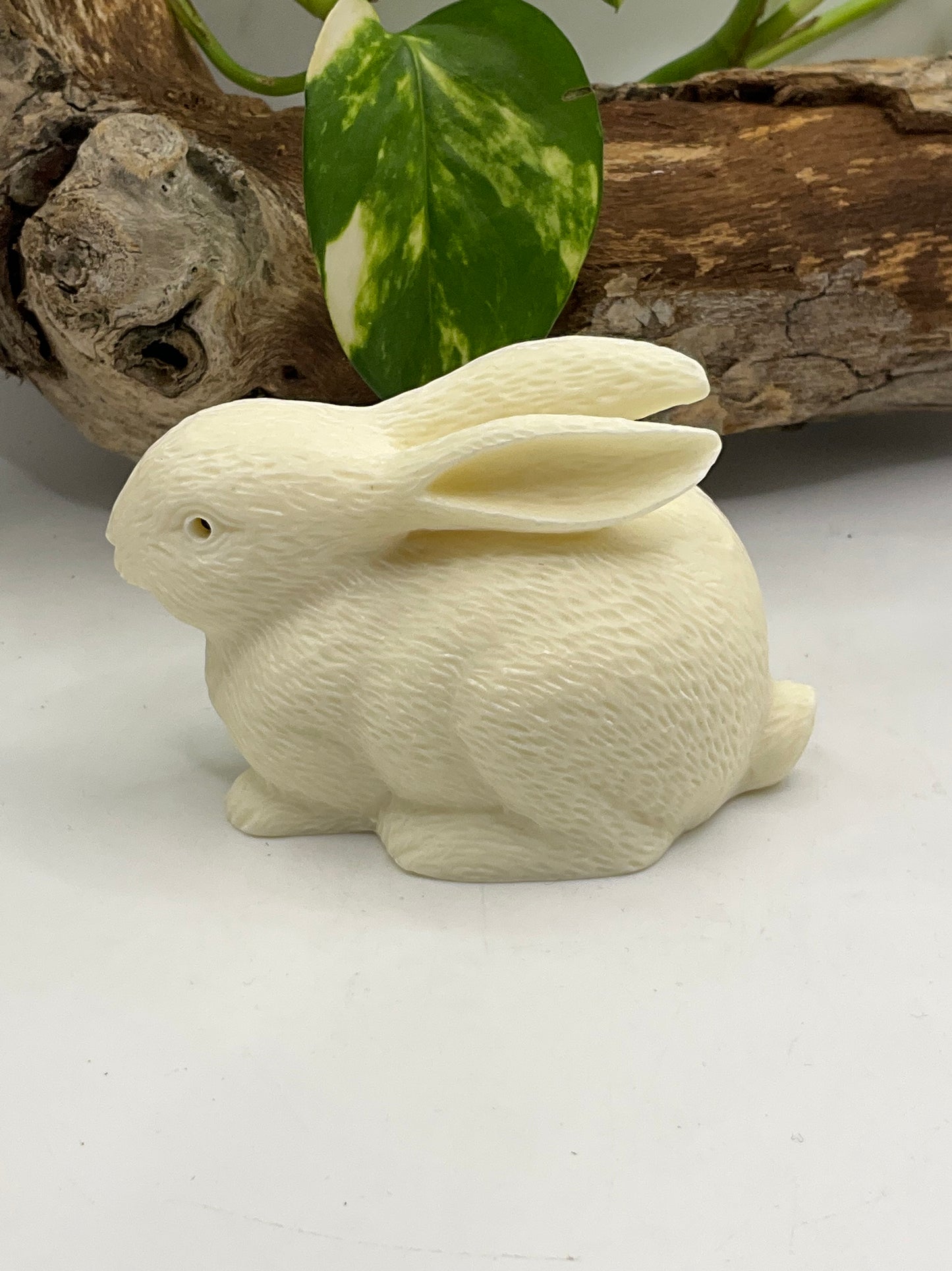 Nut Ivory Rabbit