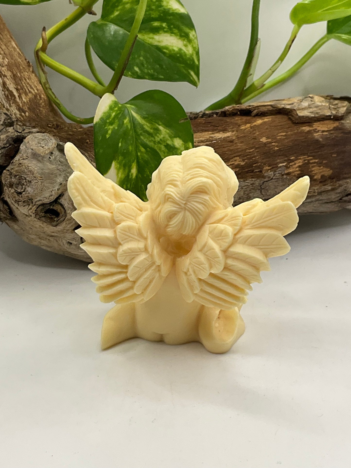 Nut Ivory Cherub