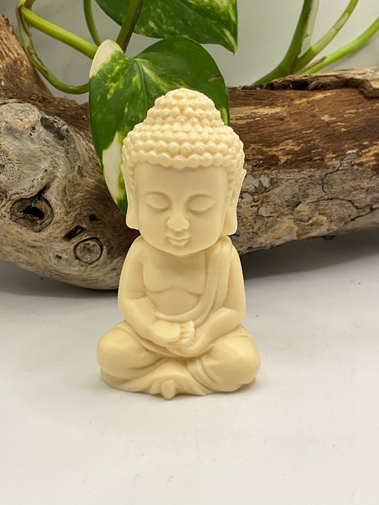 Nut Ivory Buddha