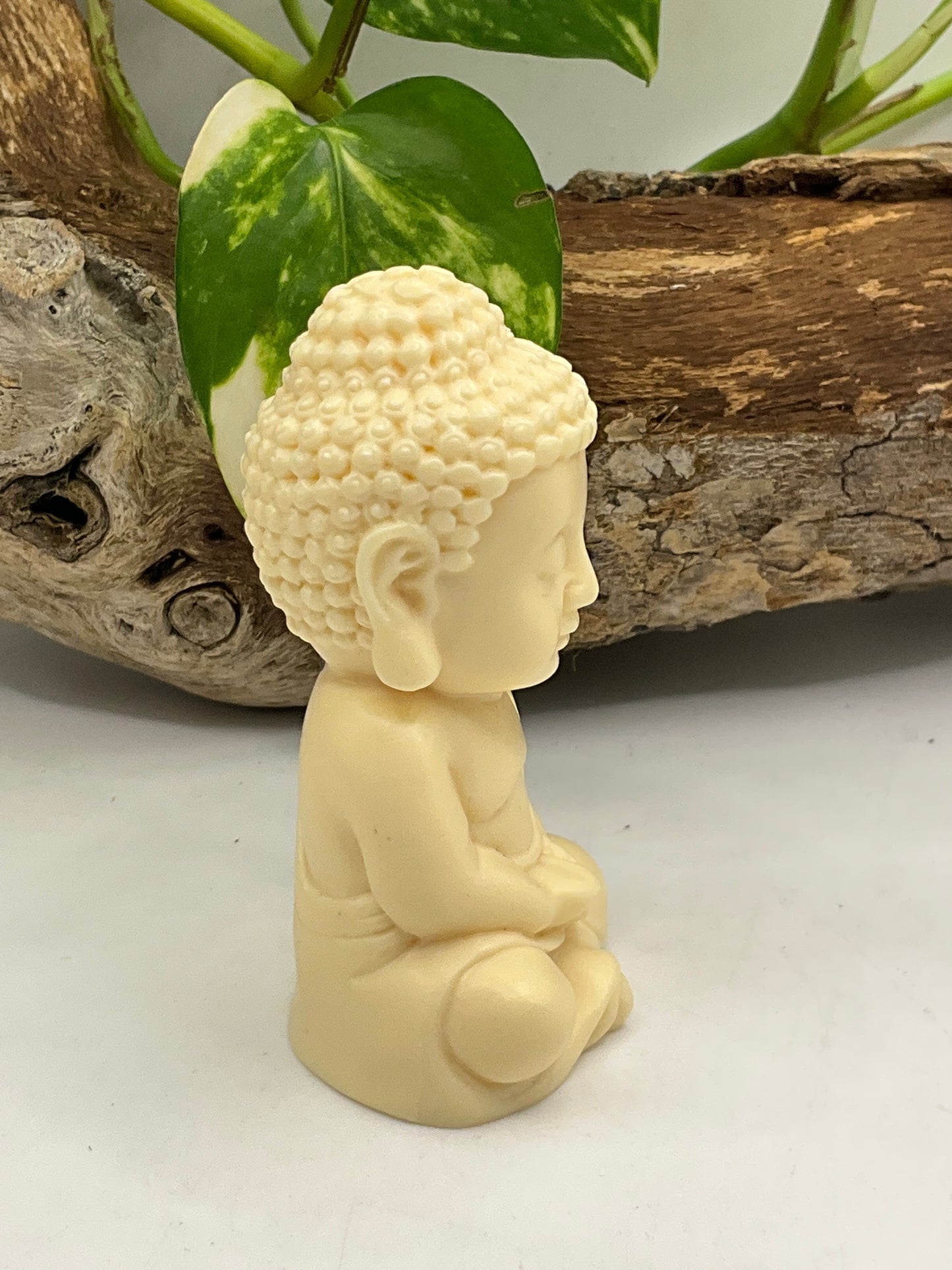 Nut Ivory Buddha