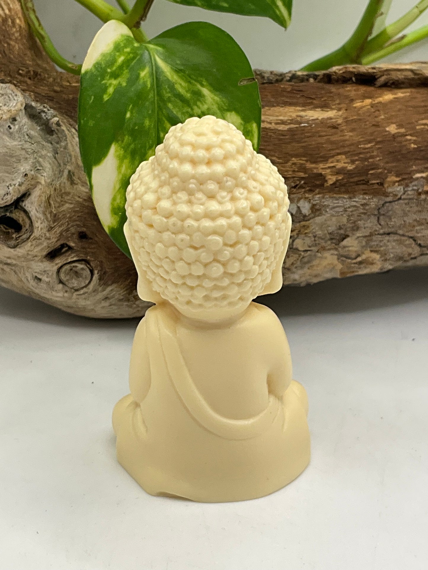 Nut Ivory Buddha