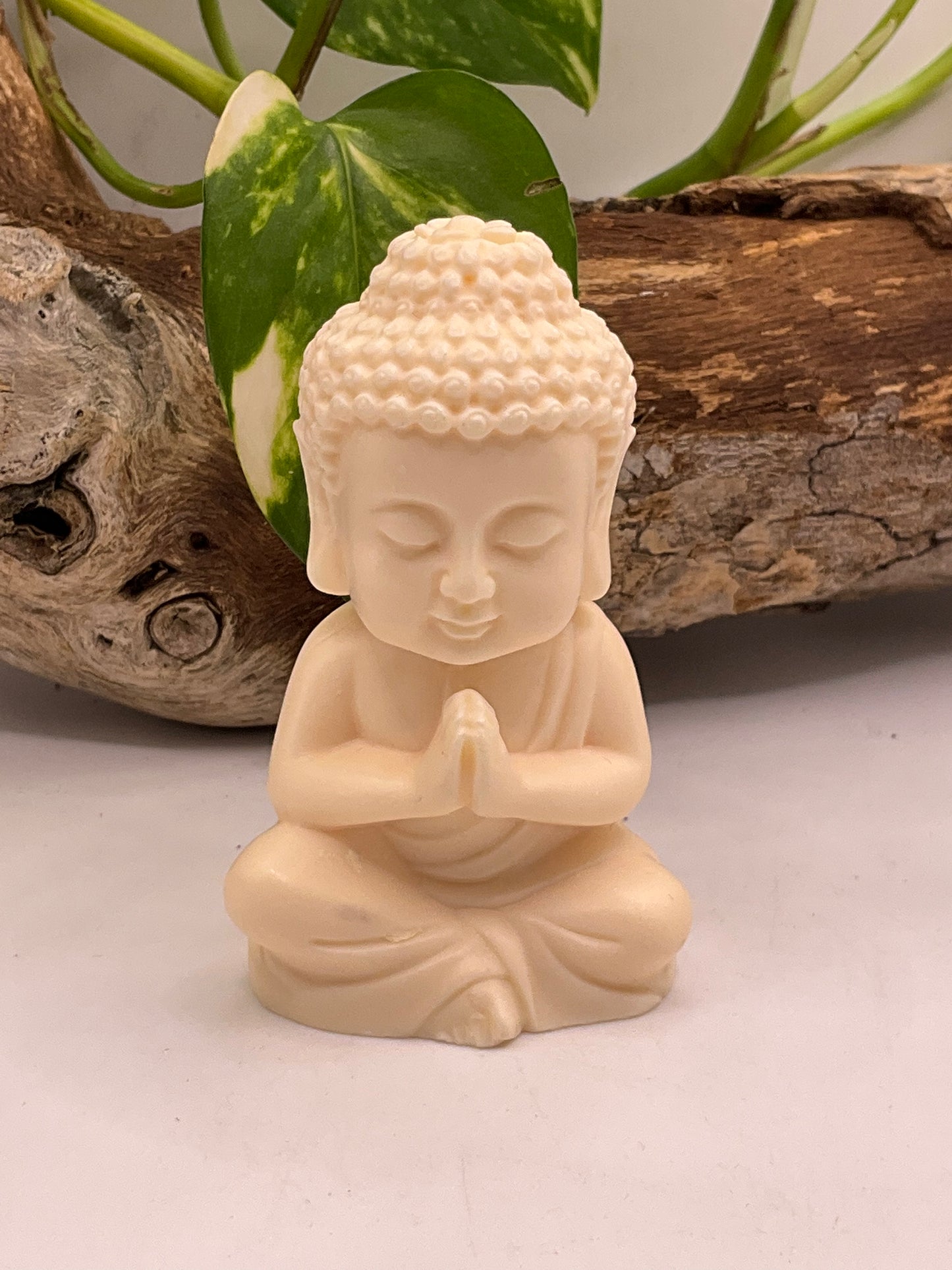 Nut Ivory Praying Buddha