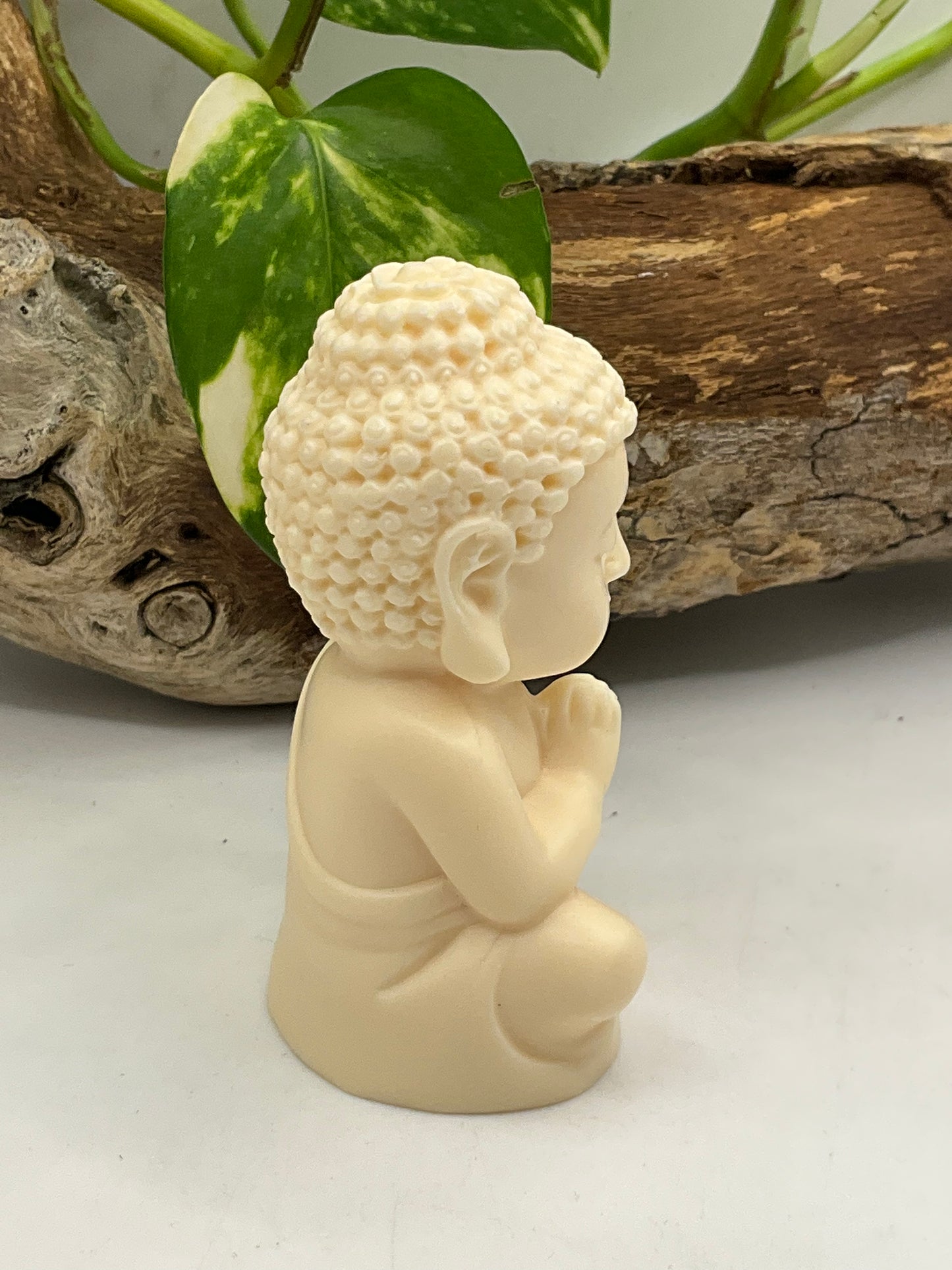 Nut Ivory Praying Buddha