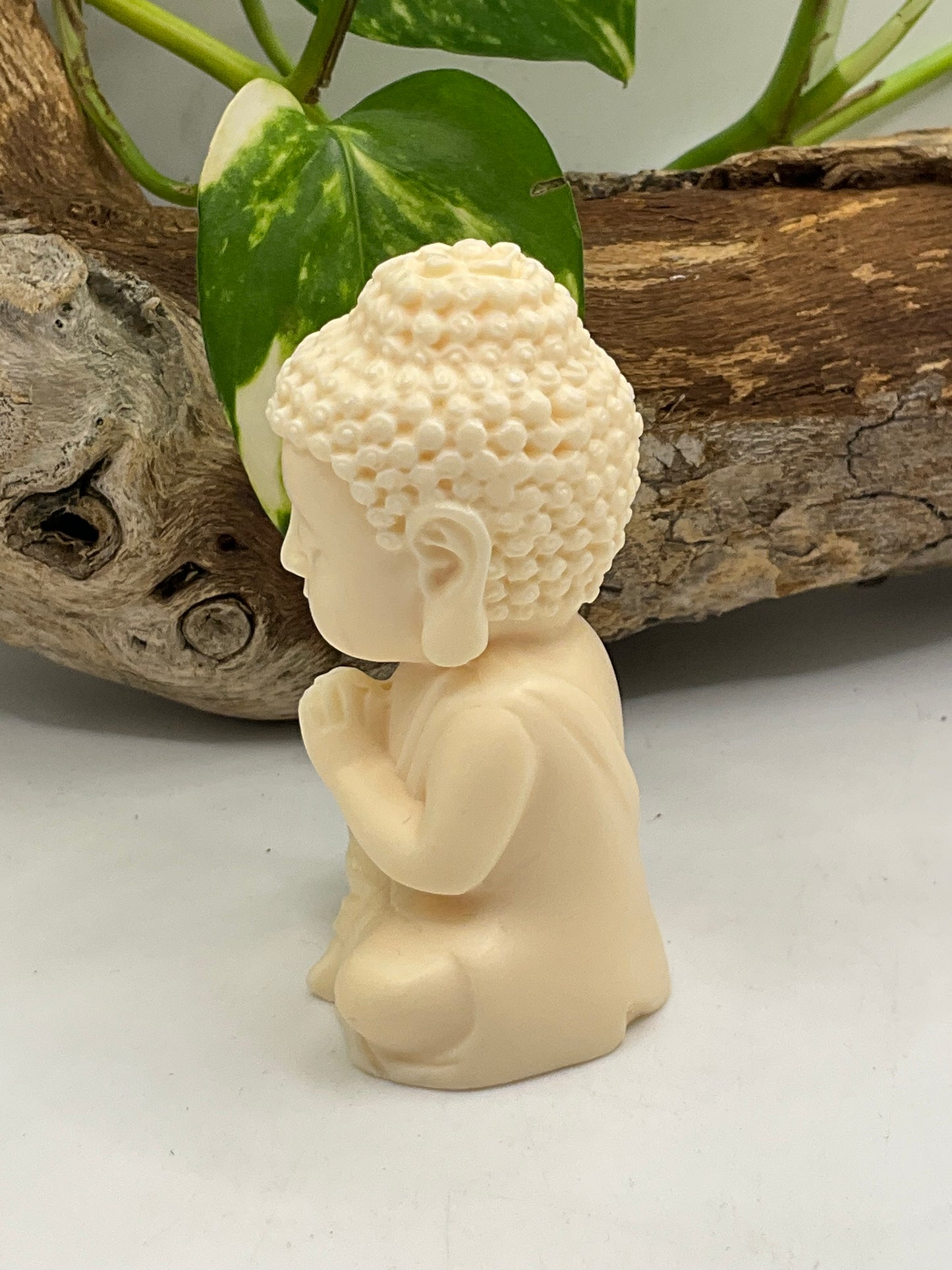 Nut Ivory Praying Buddha