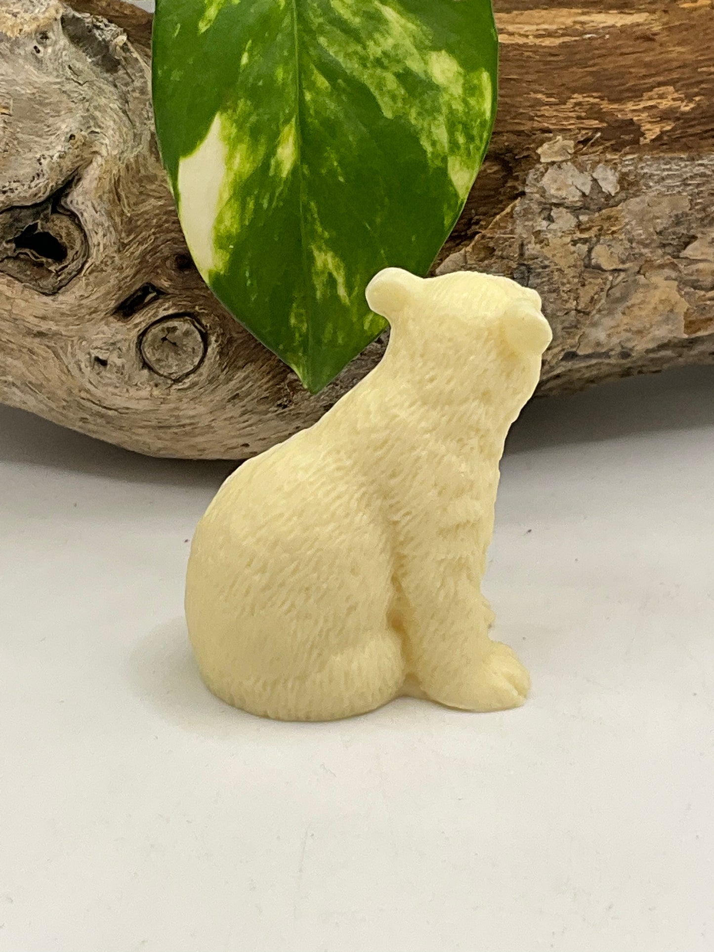 Nut Ivory Small Polar Bear