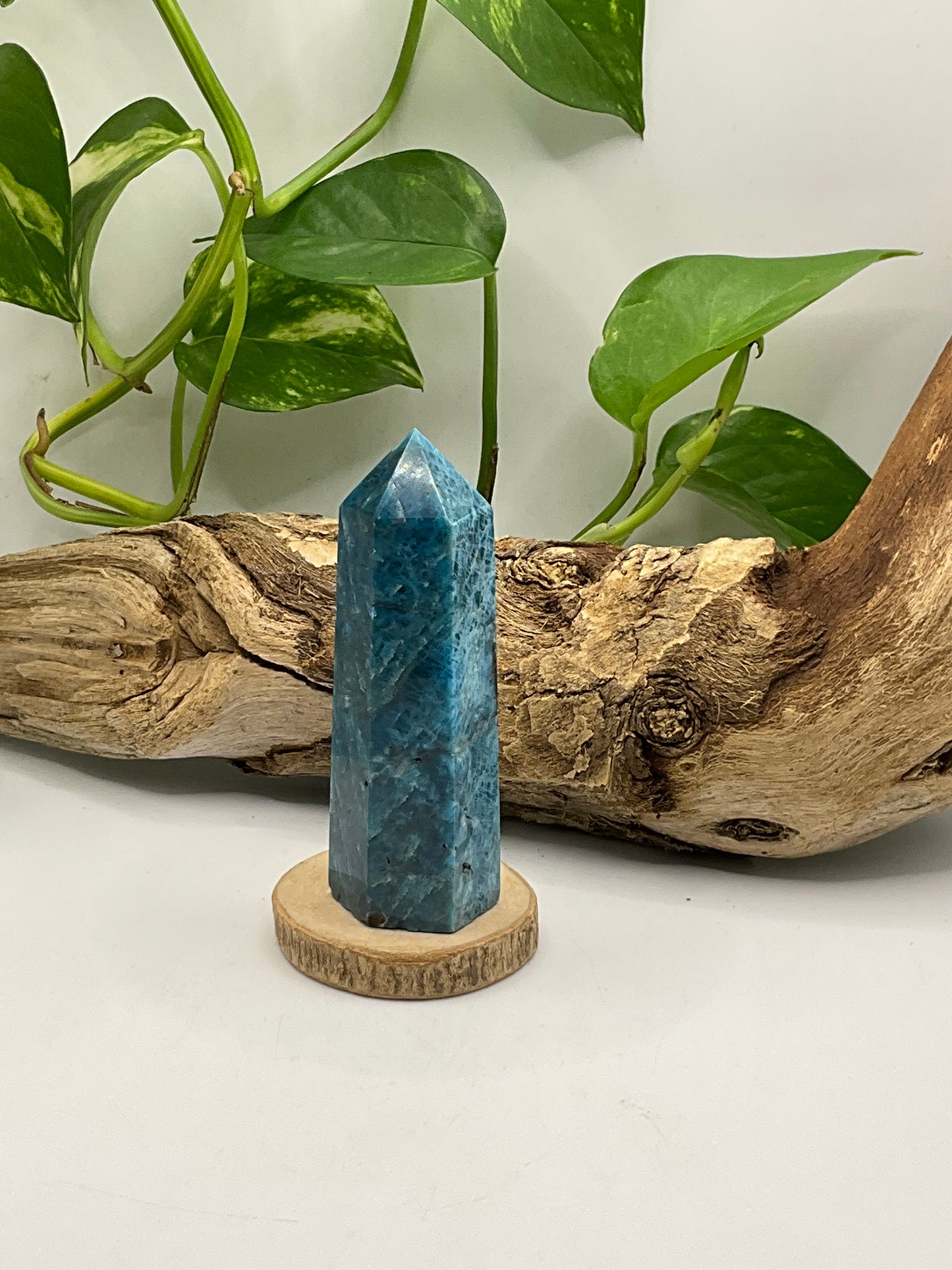 Apatite Point