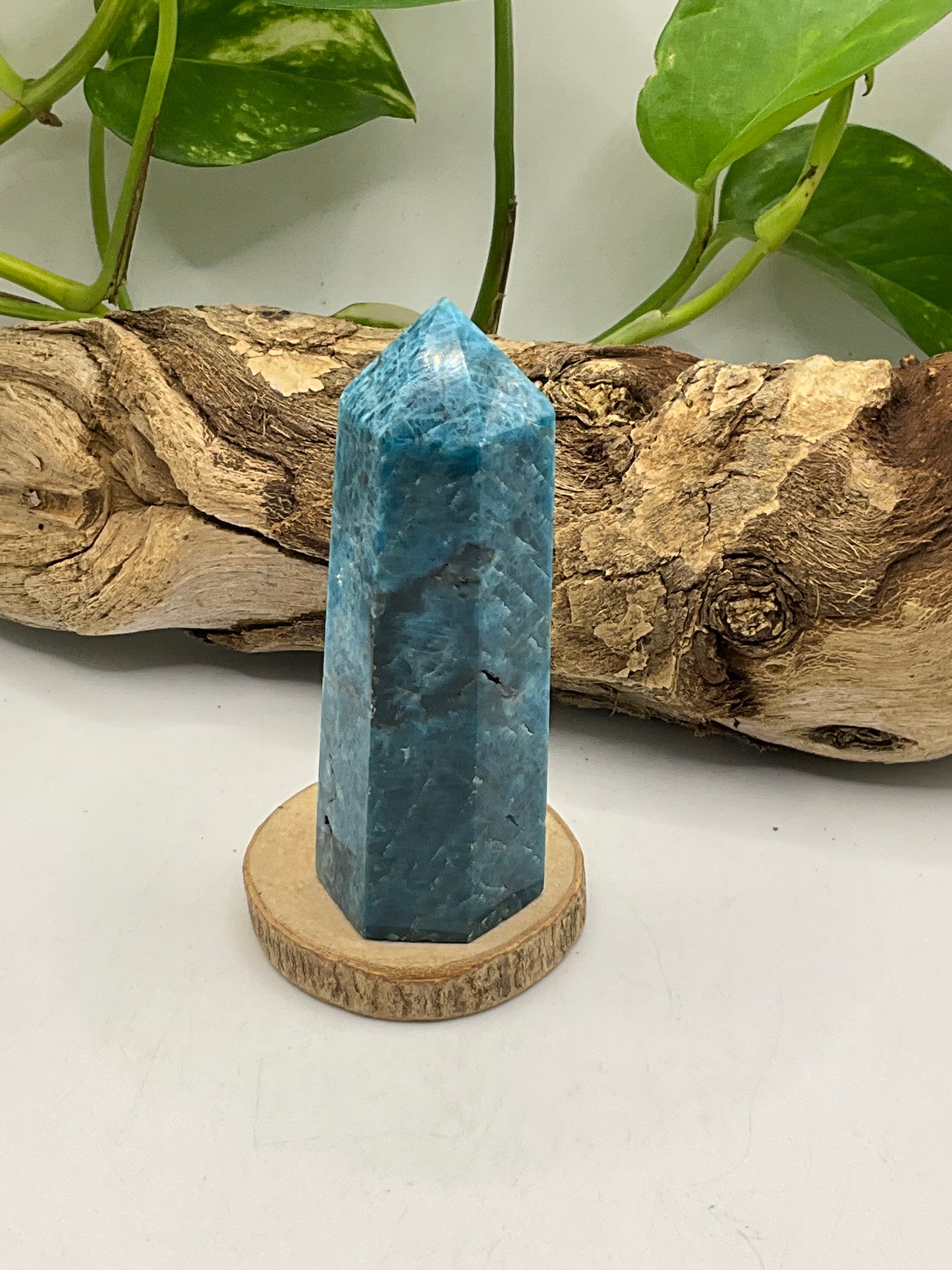 Apatite Point