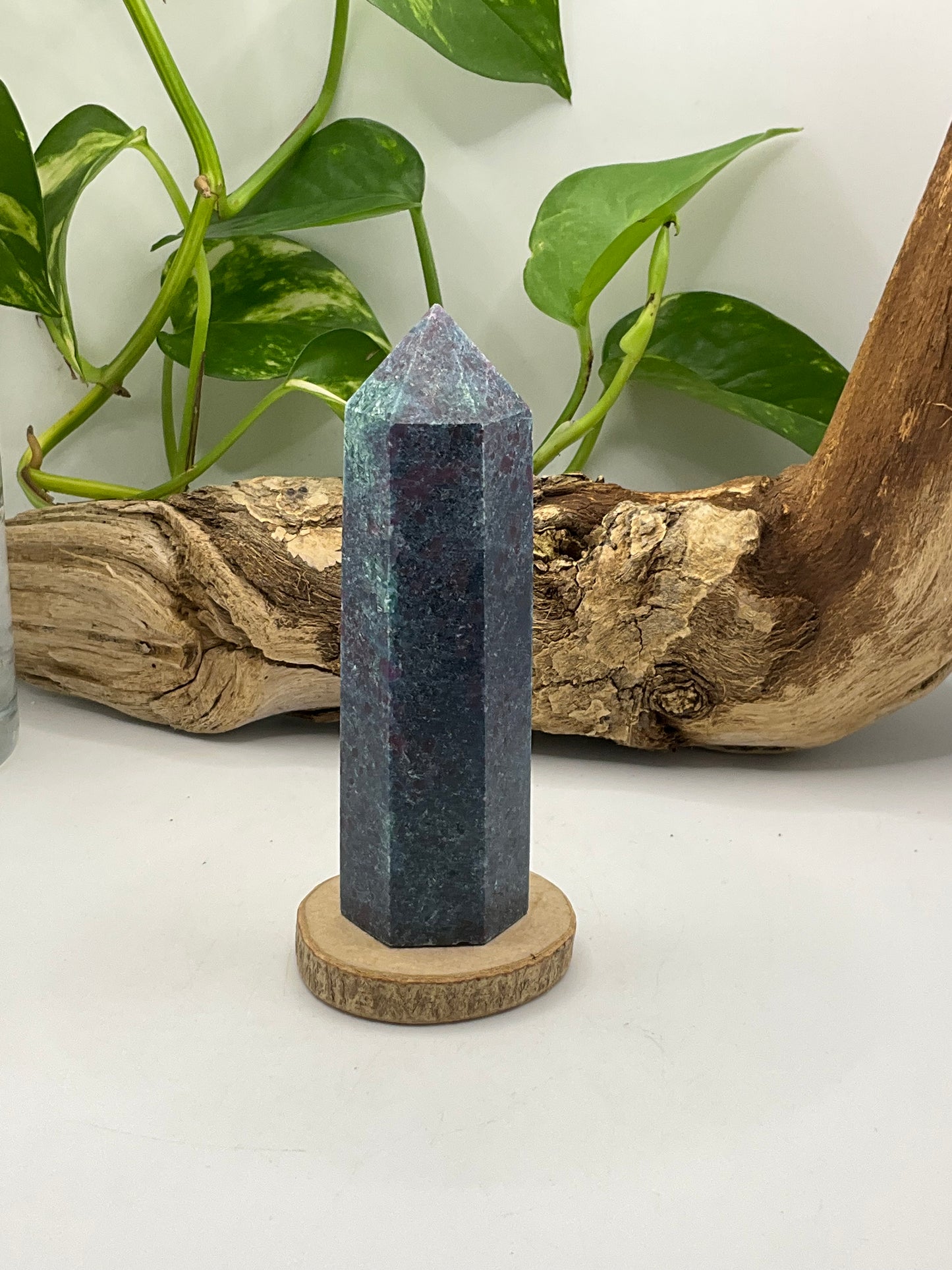 Ruby in Kyanite Point