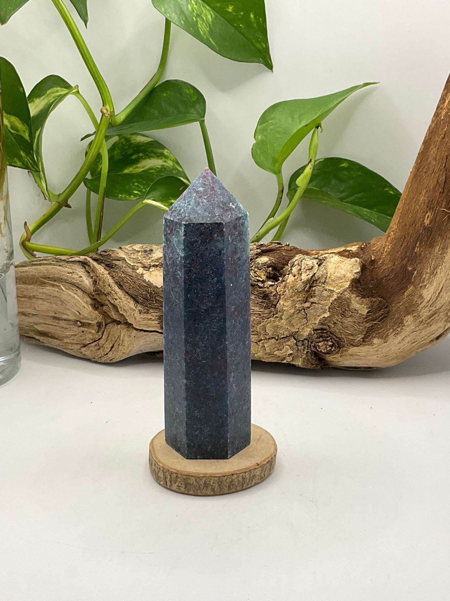 Ruby in Kyanite Point