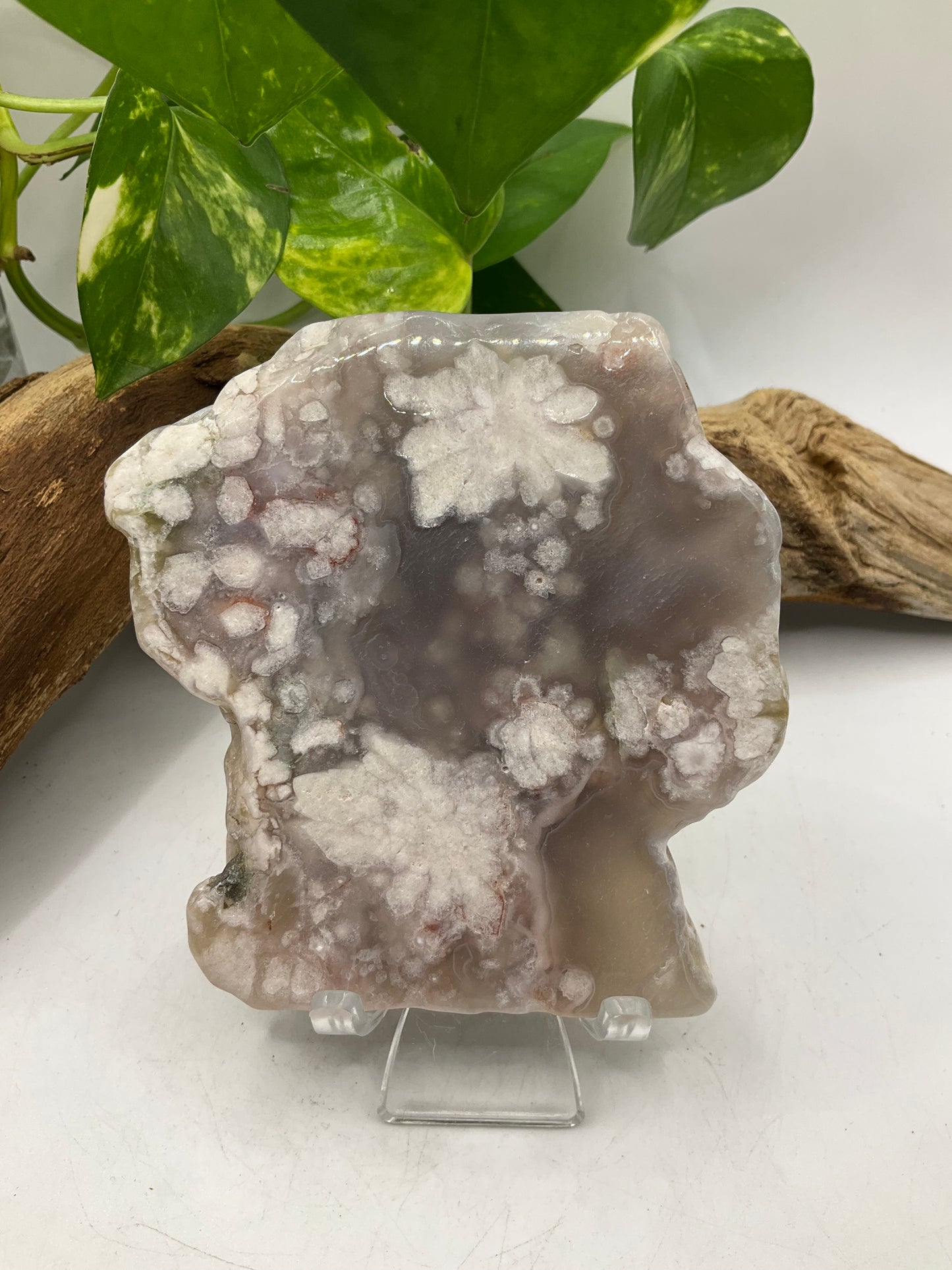 Flower Agate Slice