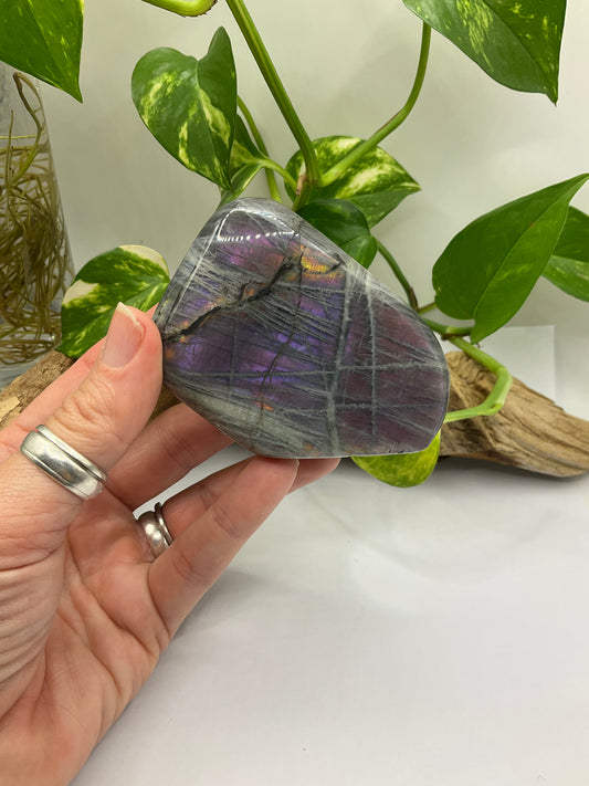 Purple Labradorite Free Form