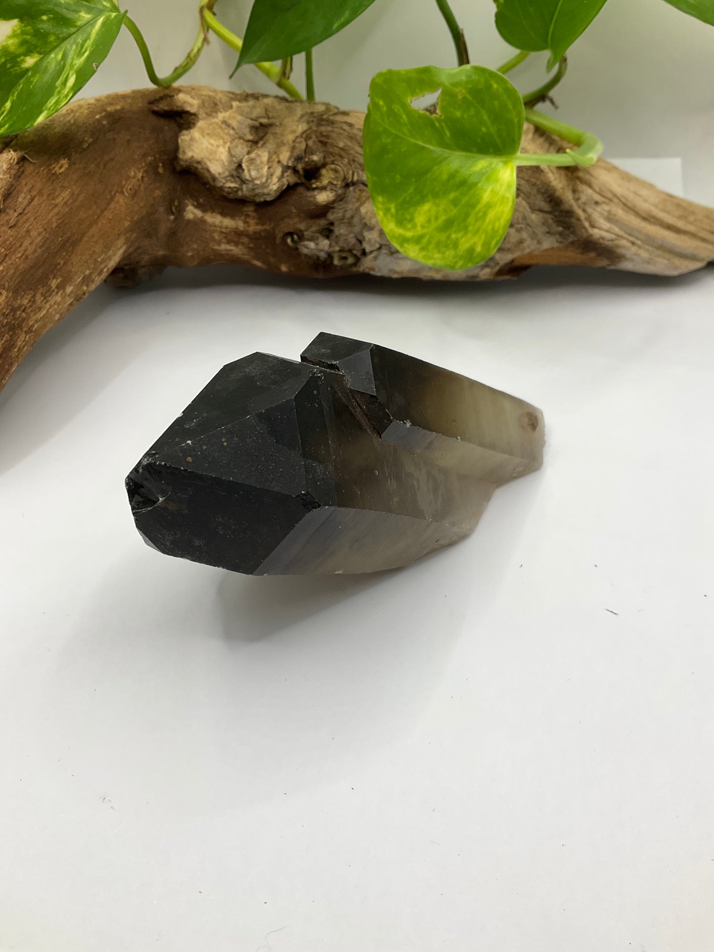 Smoky Citrine Natural Generator