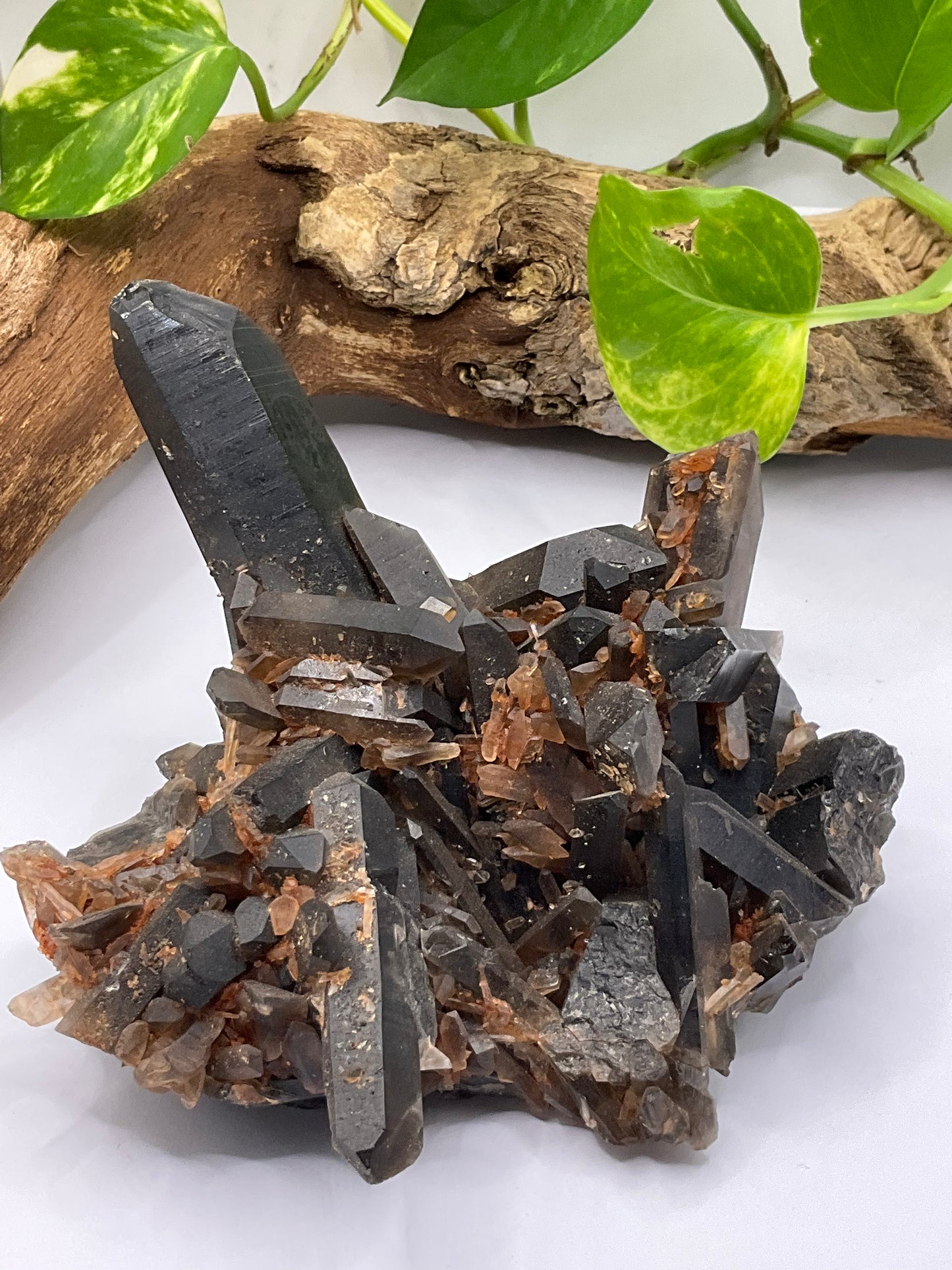 Smoky Quartz Natural Cluster