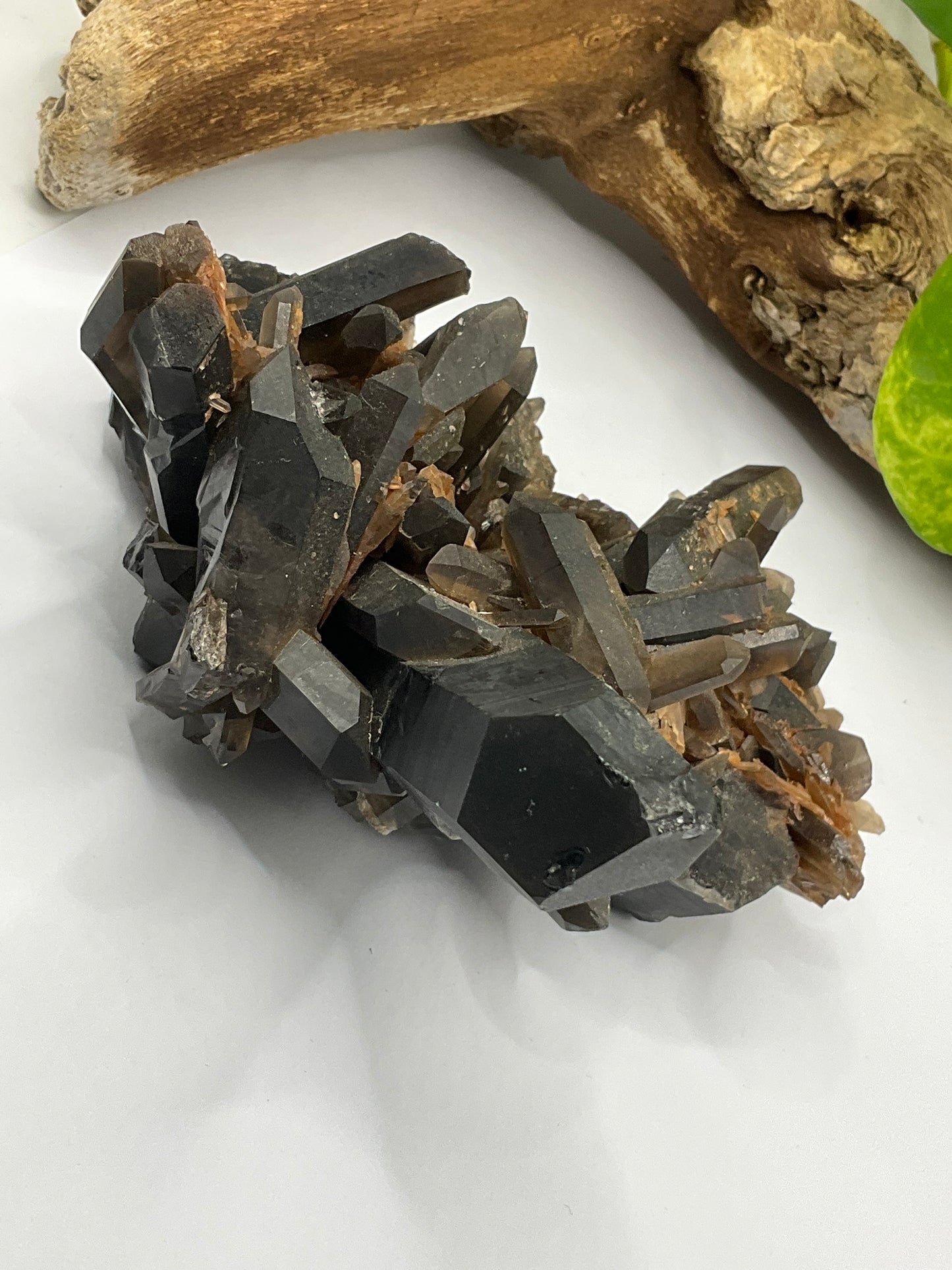 Smoky Quartz Natural Cluster