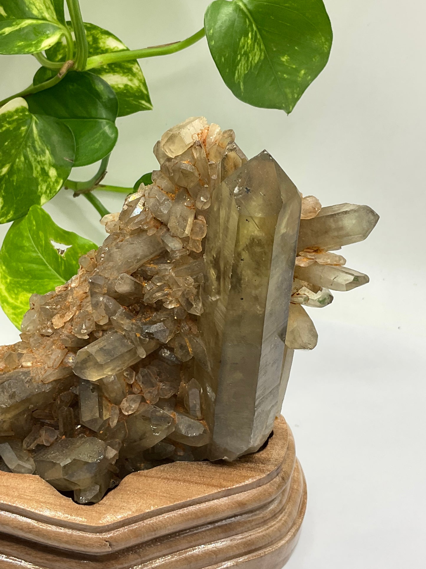 Natural Citrine Cluster