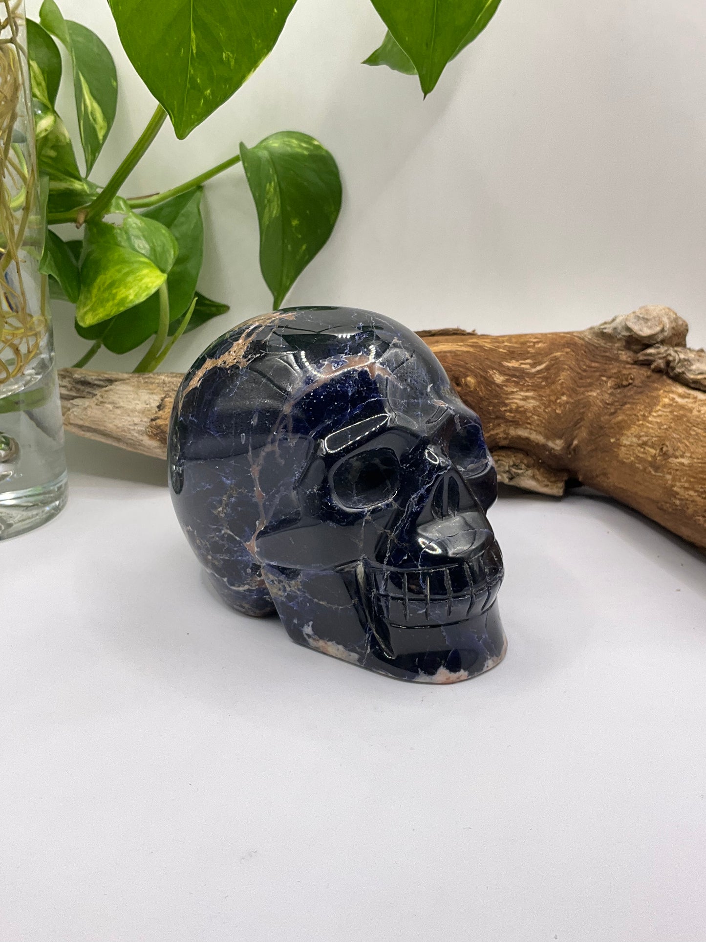 Sodalite Skull