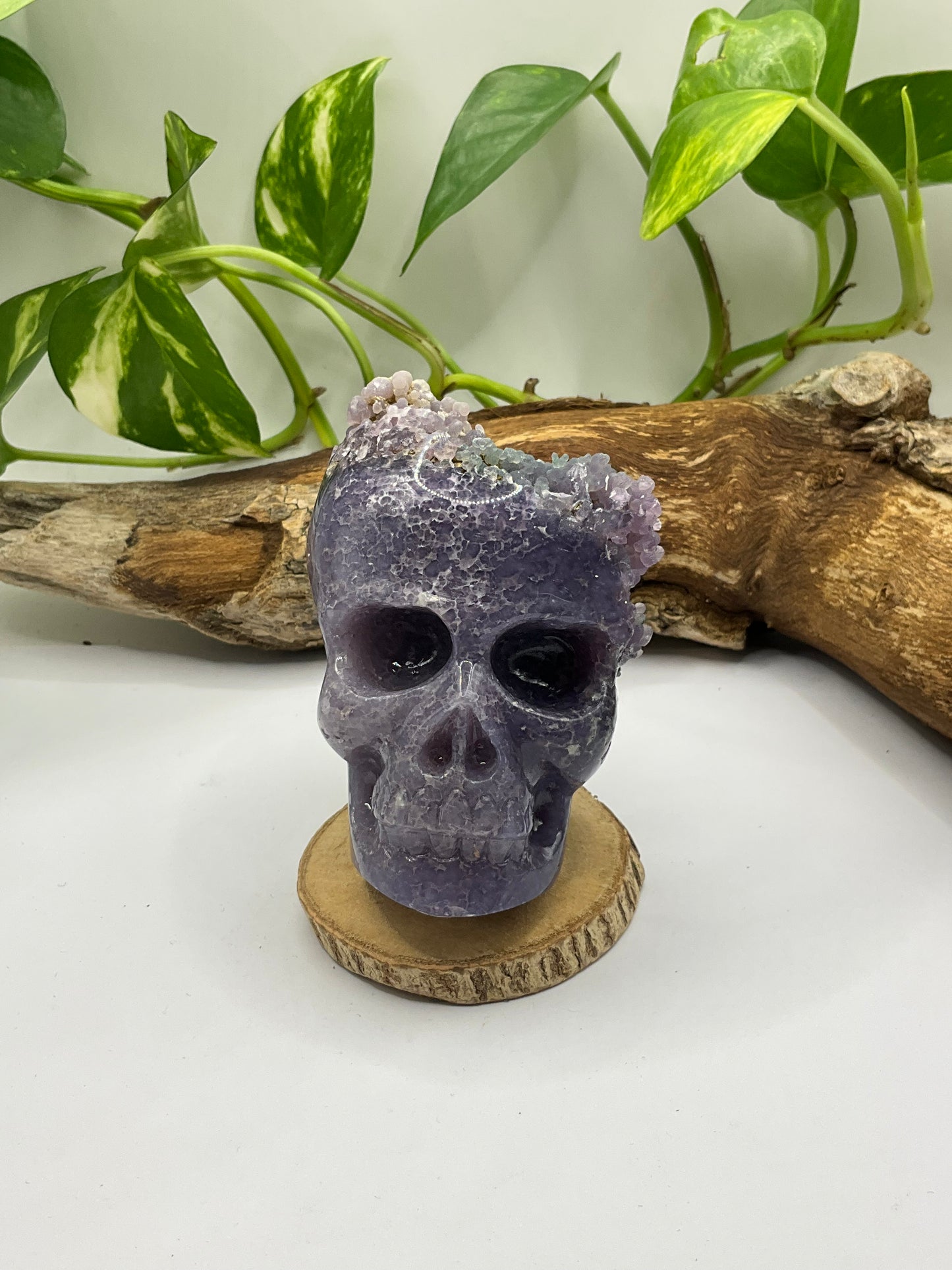 Grape Agate Free Form Skull