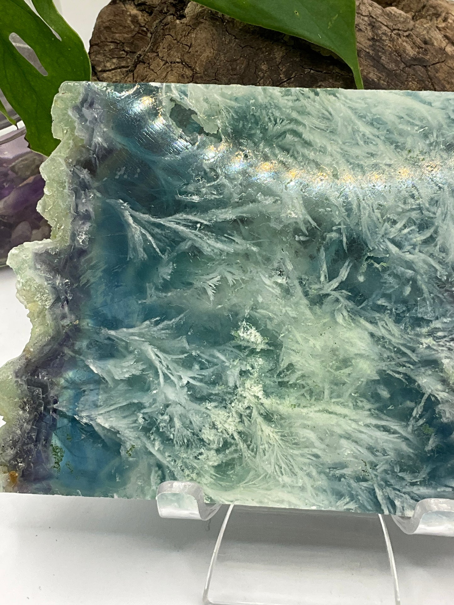 Dendritic Fluorite Slice