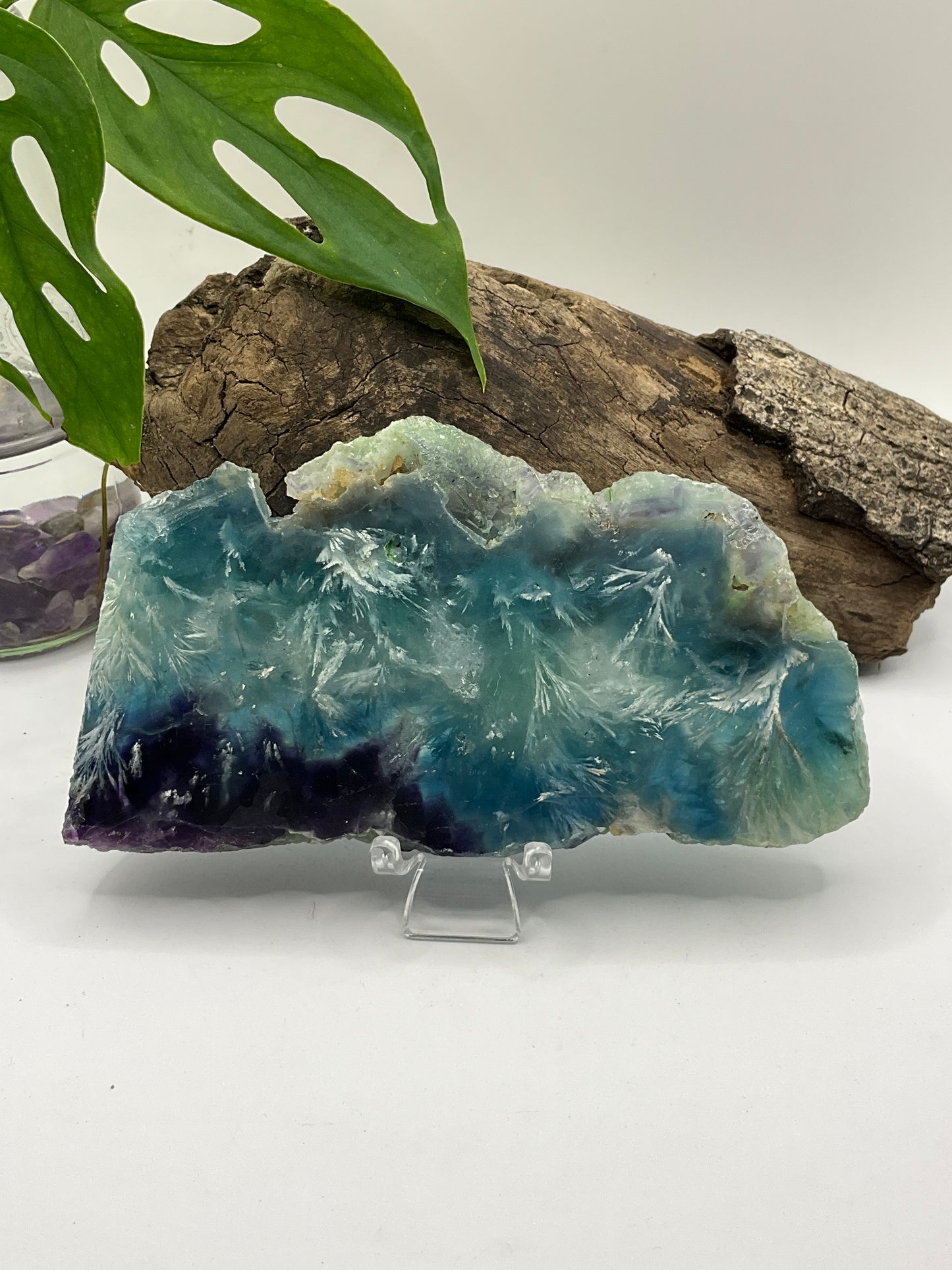 Dendritic Fluorite Slice