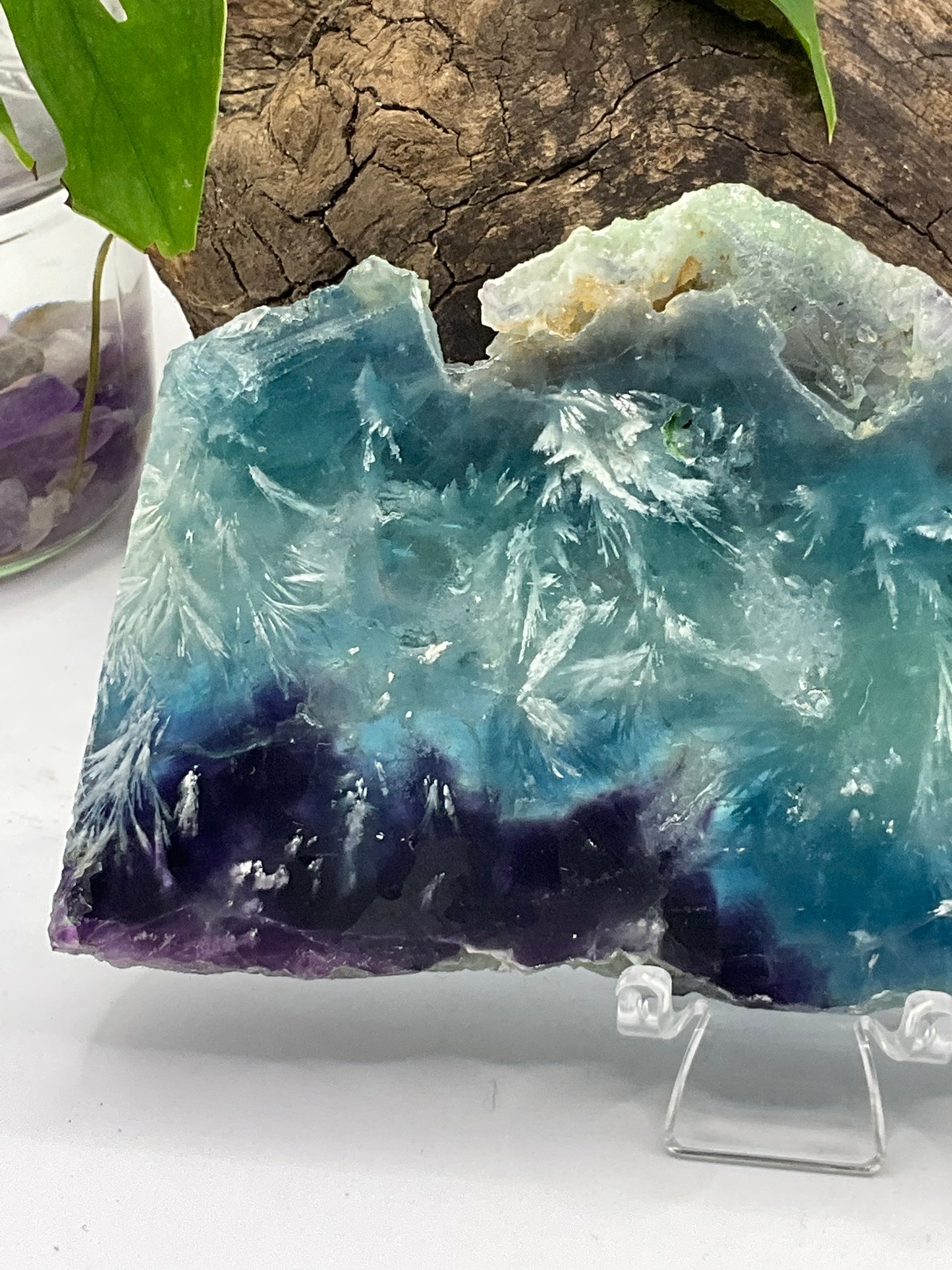 Dendritic Fluorite Slice