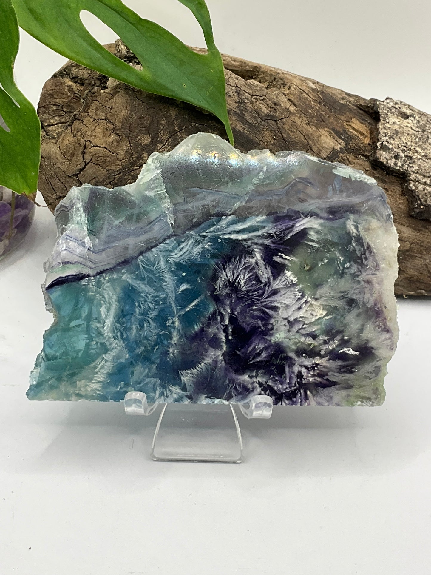 Dendritic Fluorite Slice