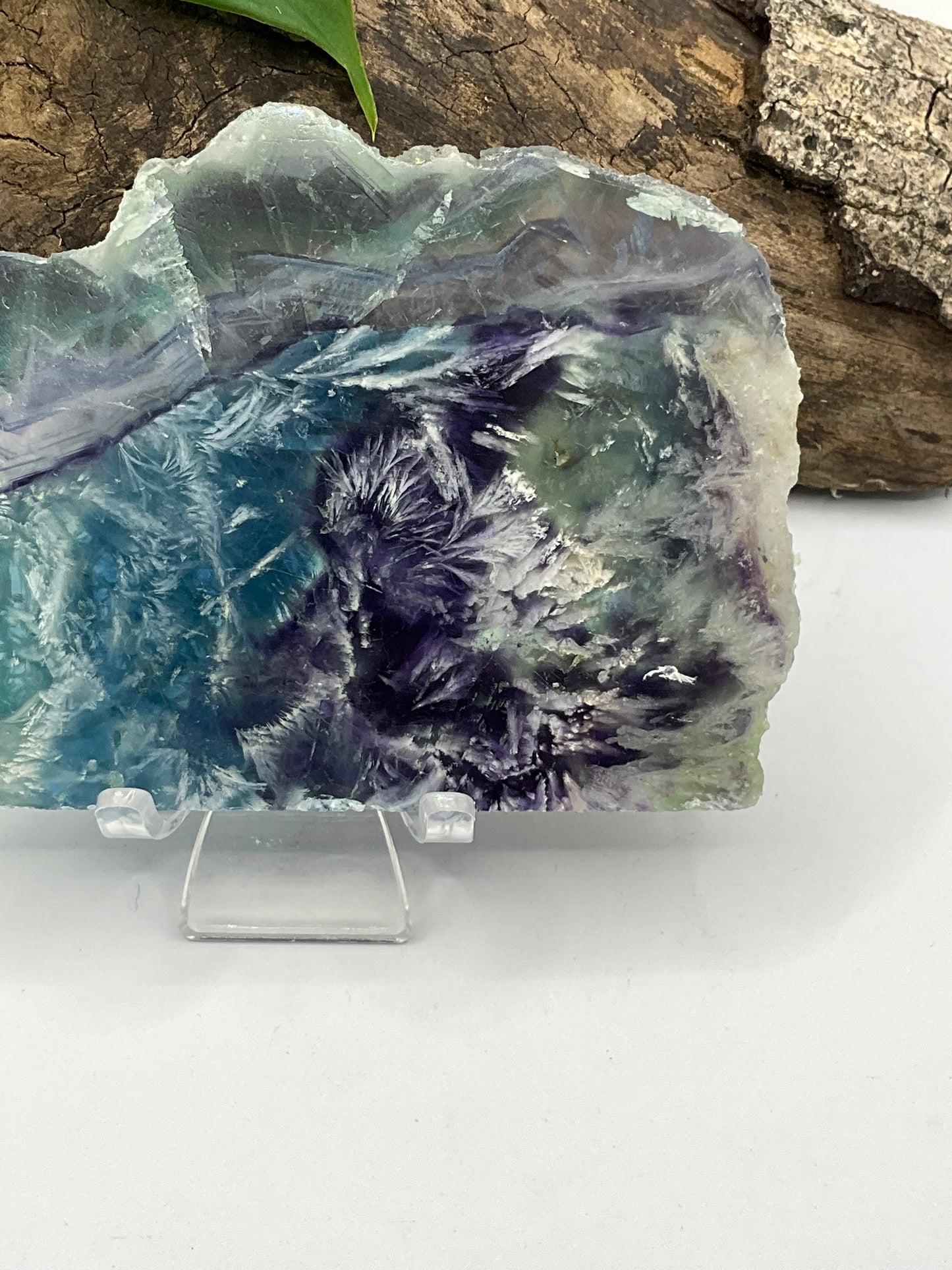 Dendritic Fluorite Slice