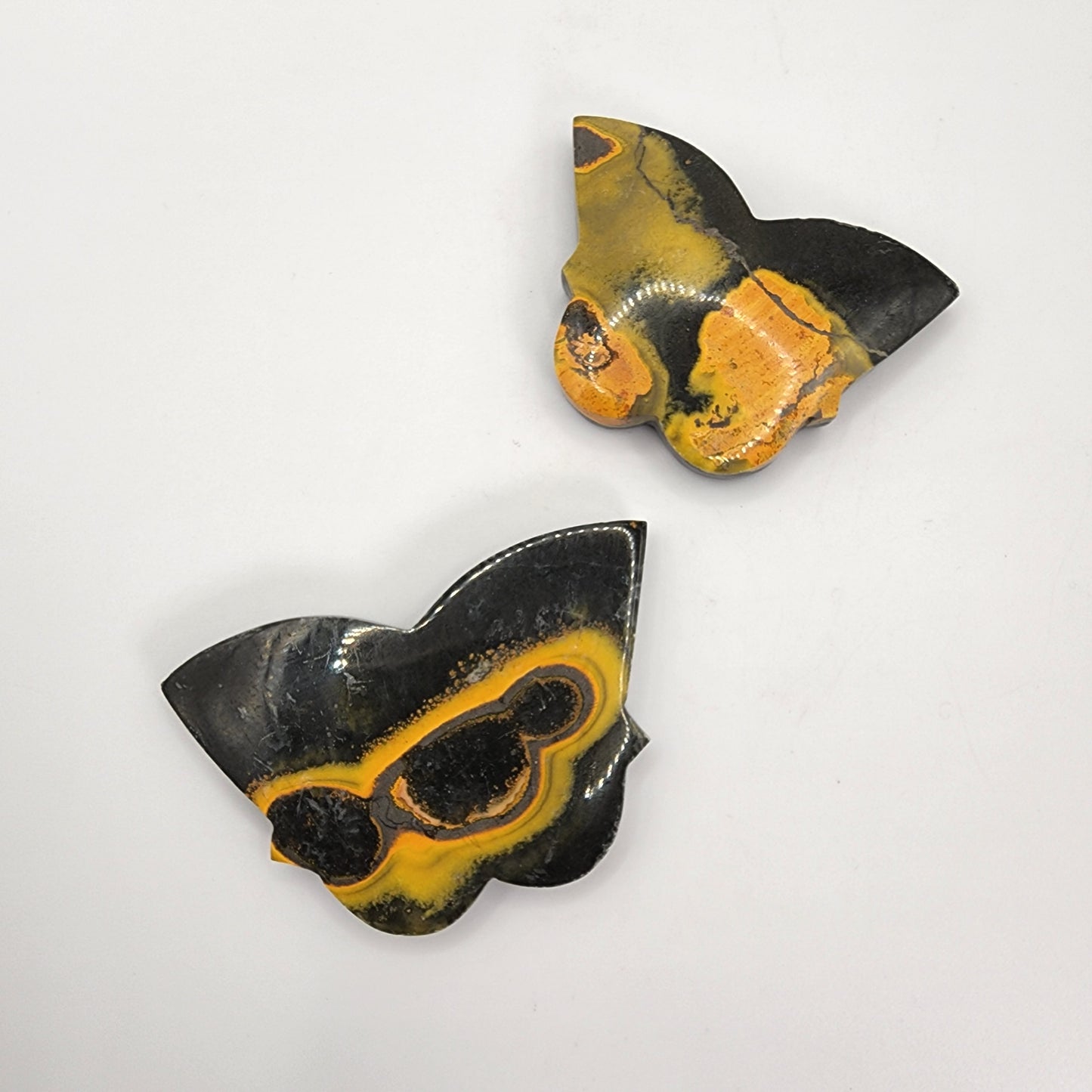 Bumble Bee Jasper Butterfly