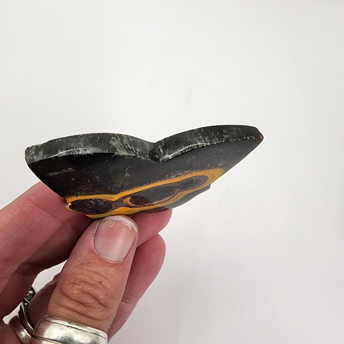 Bumble Bee Jasper Butterfly